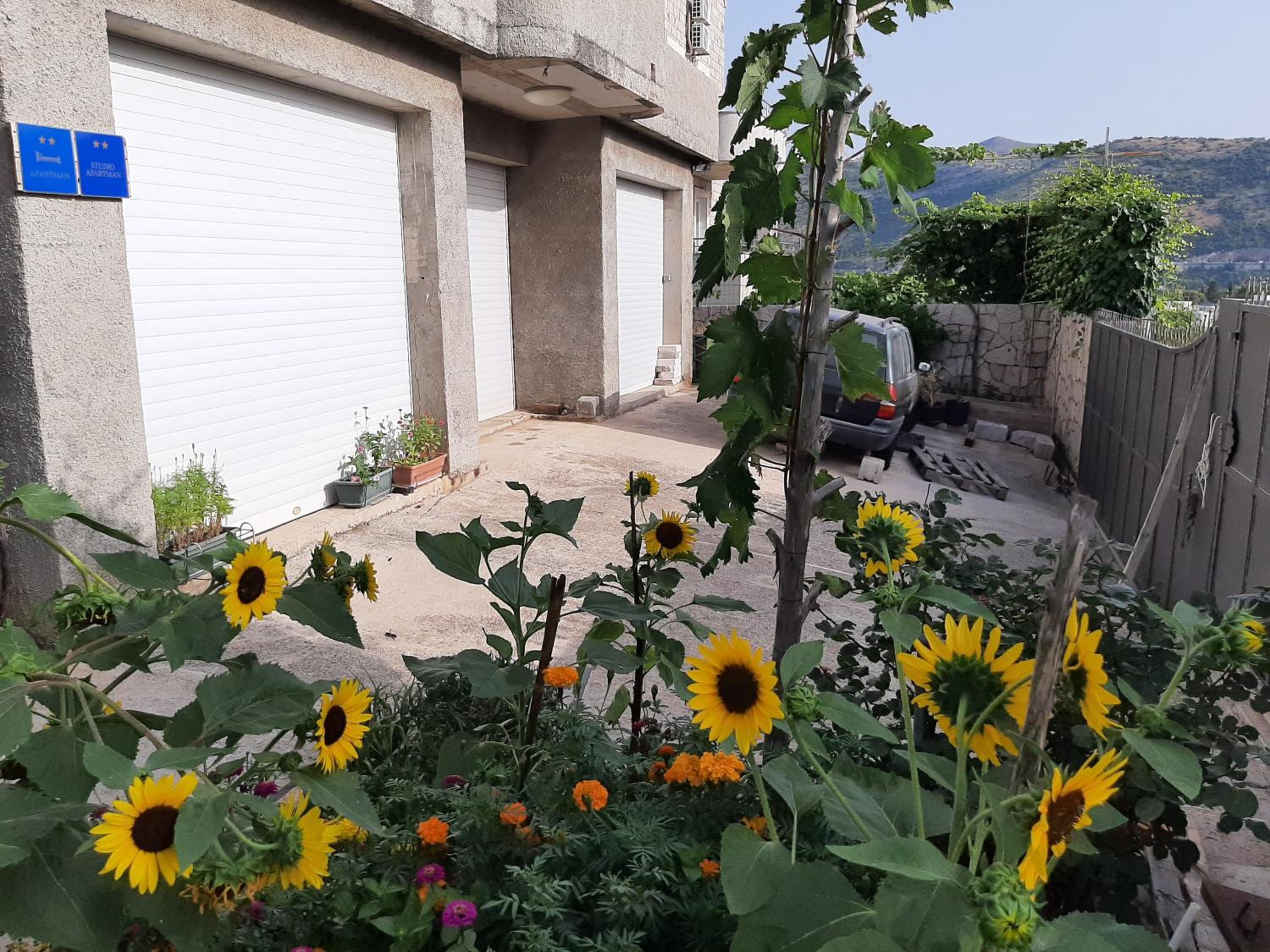 Apartment Nepe