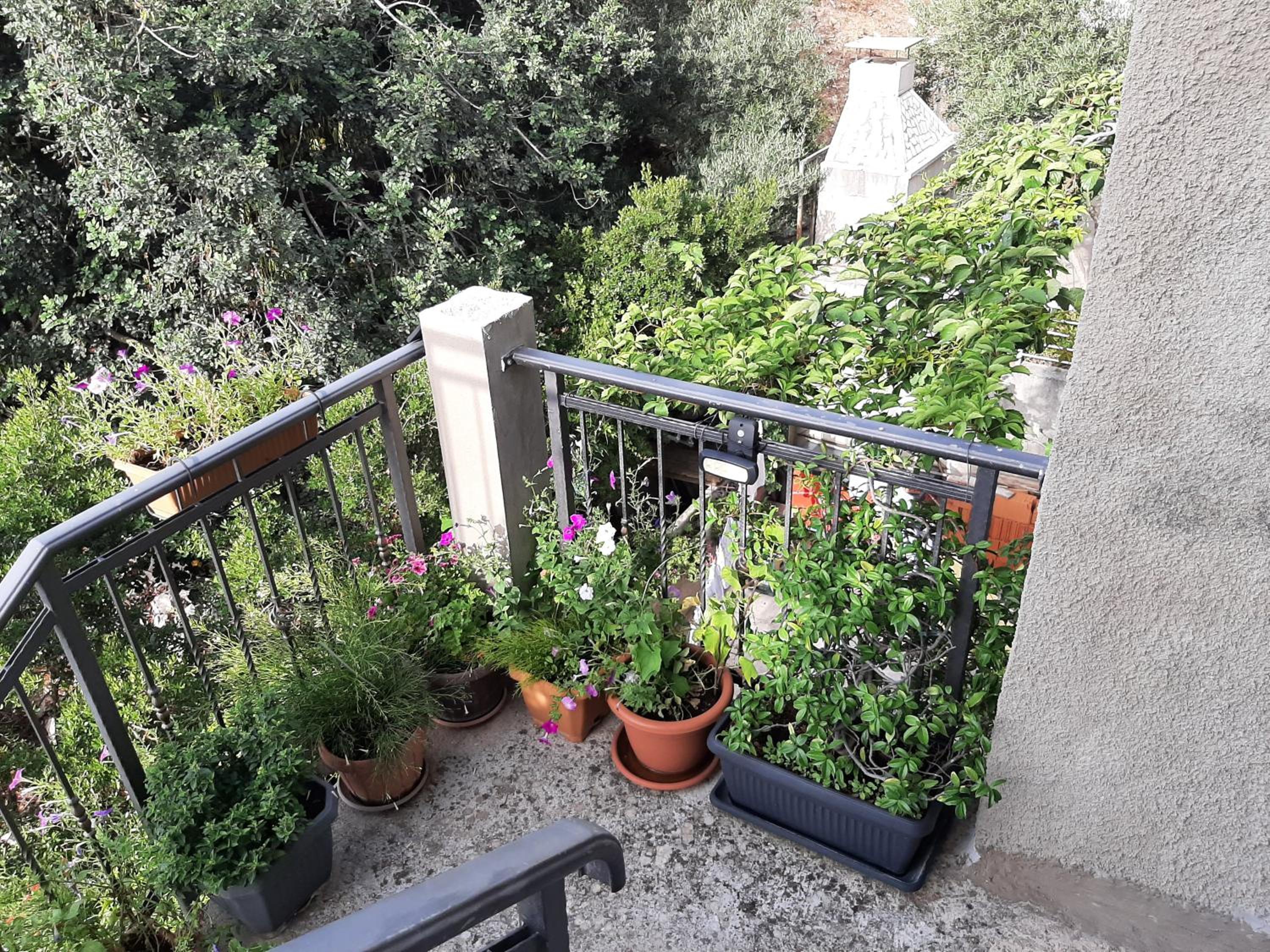 Apartment Nepe