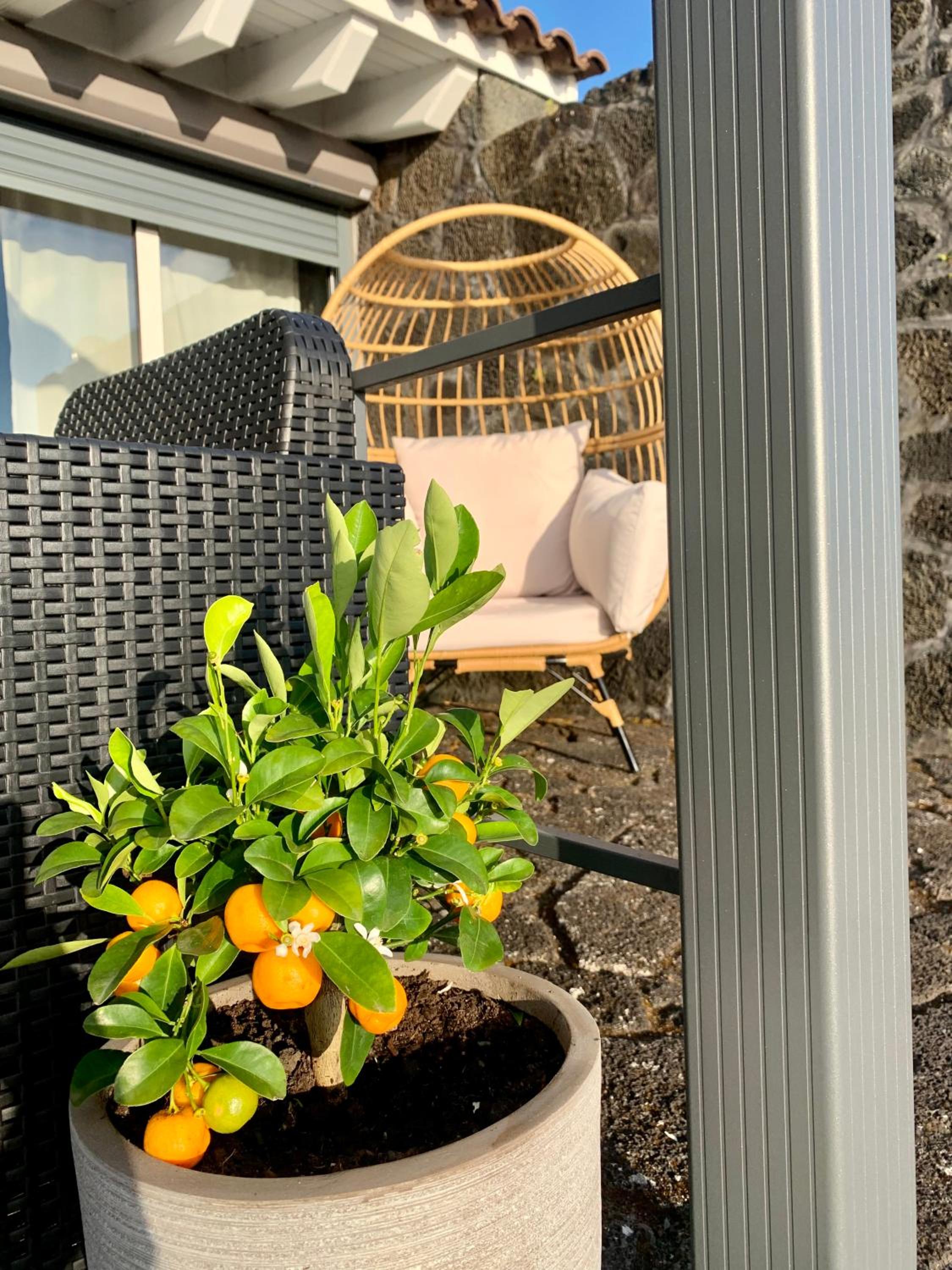 Hotel Picoterrace View