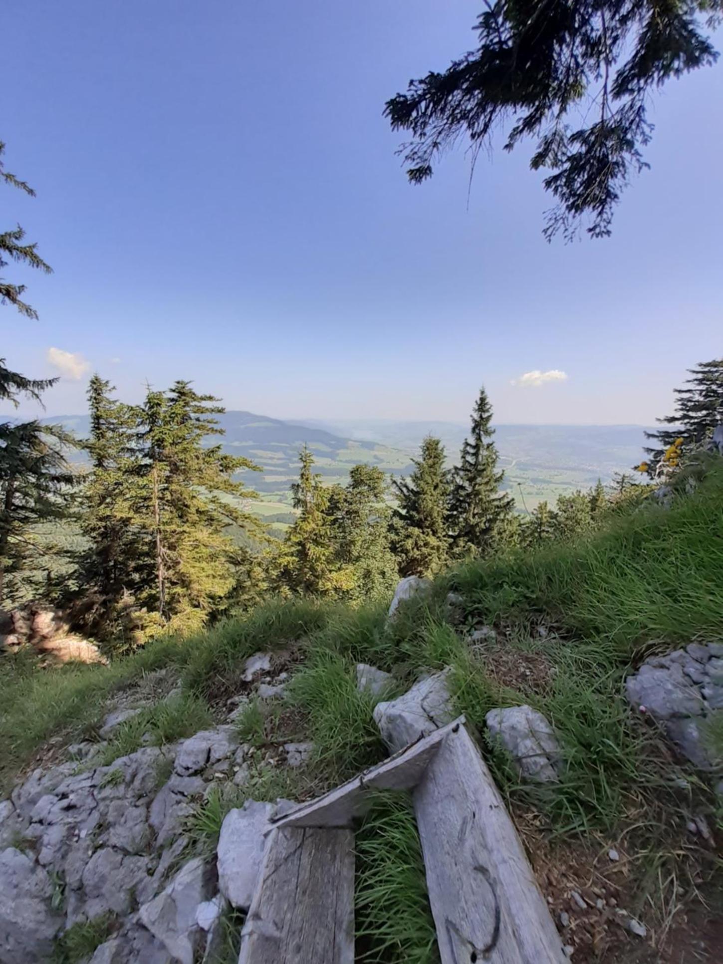 Reitbergs Nest
