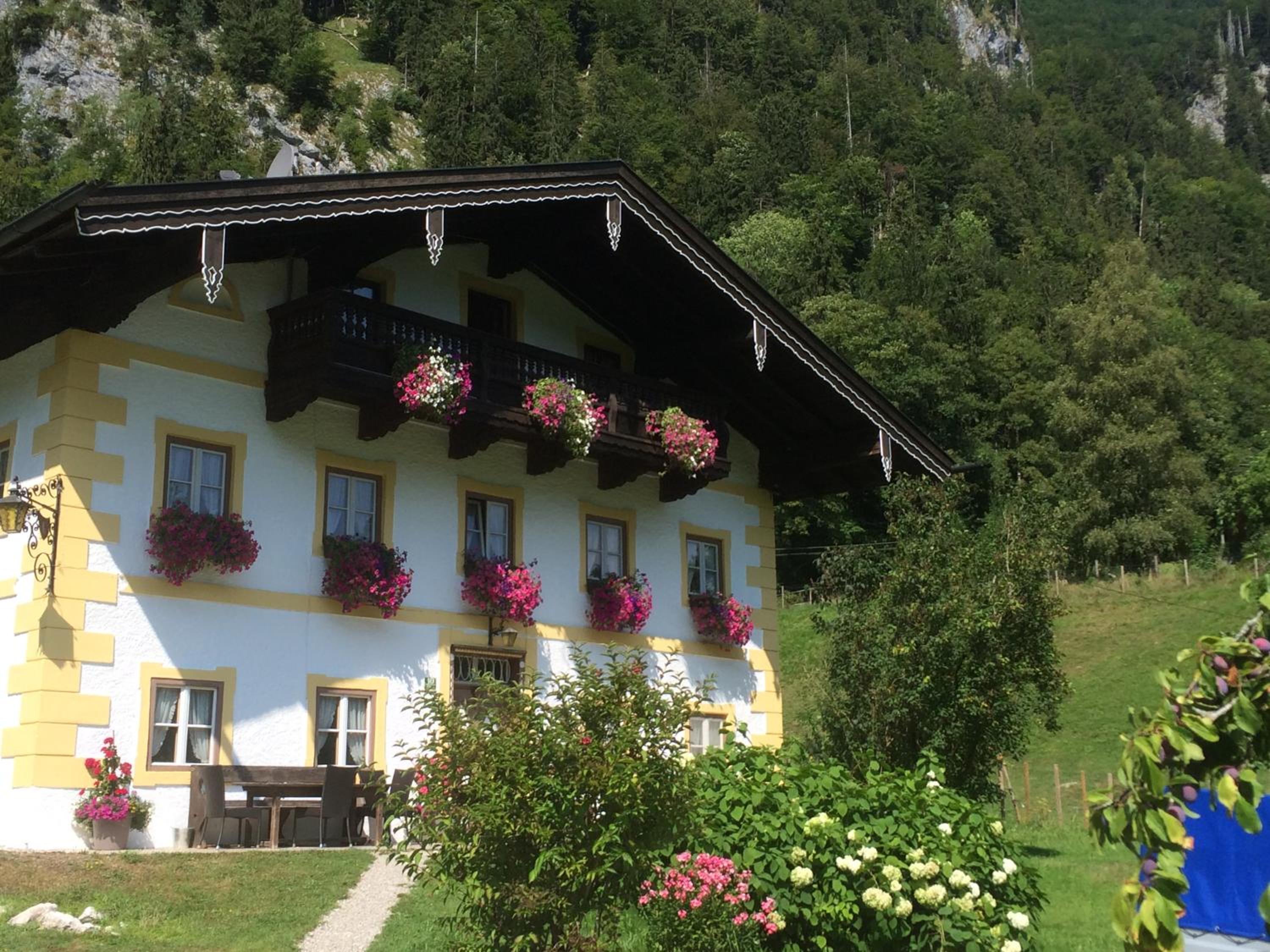 Alpaka-Hof Landinger