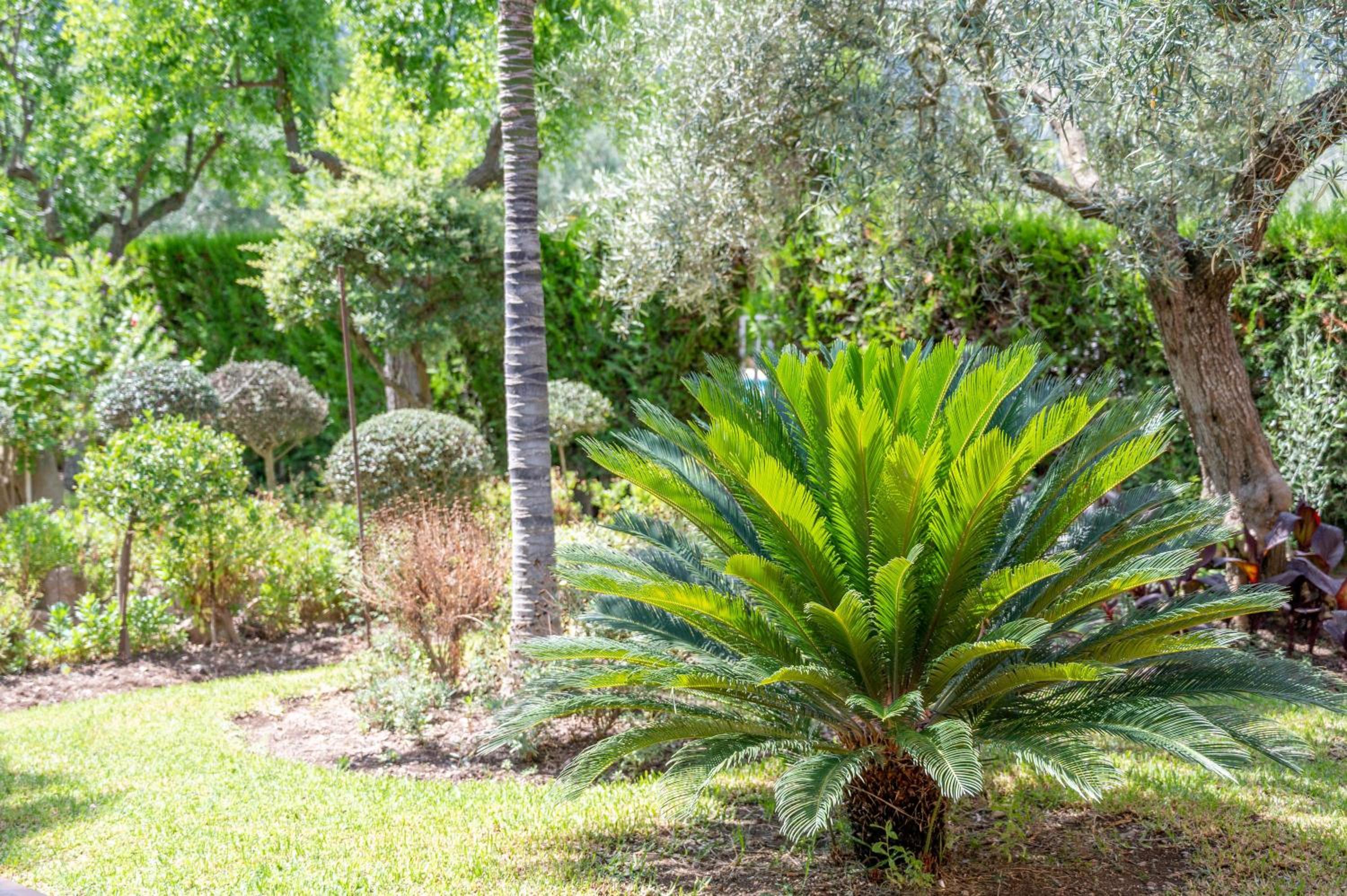 Villa la Rafal