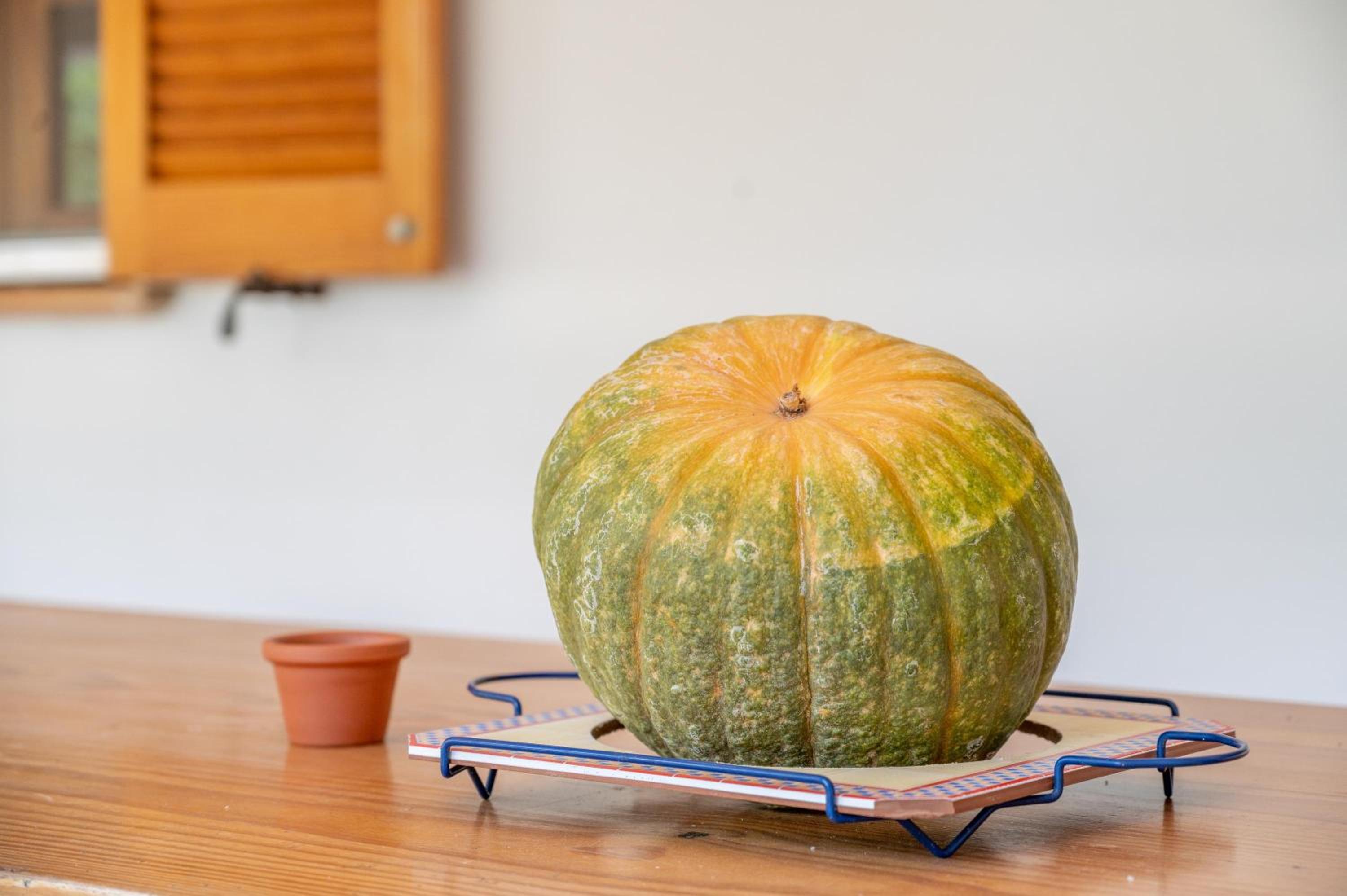 Villa la Rafal photo 2