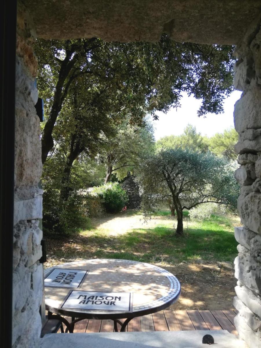 Cabanon Sainte Victoire view 4