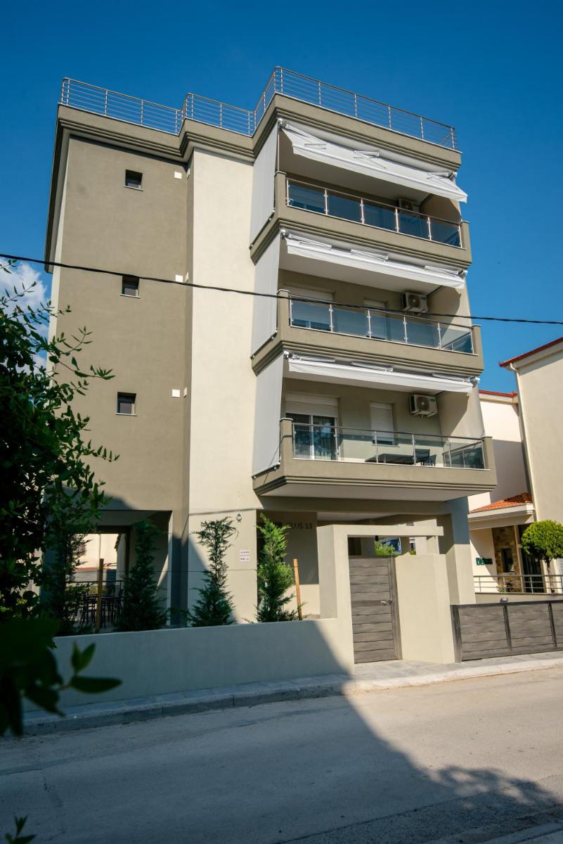 OLIVE 303 photo 3