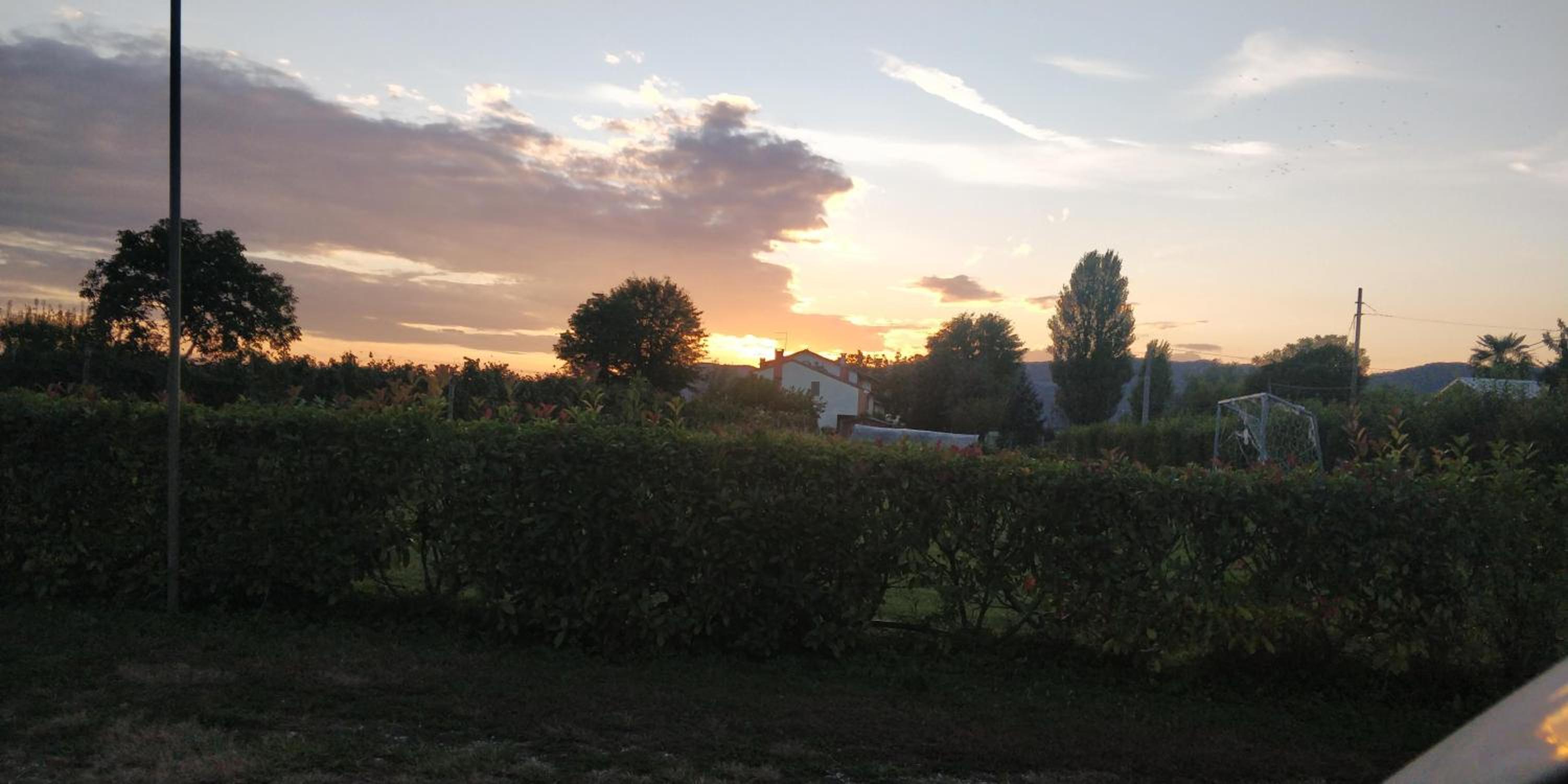 Photo 84