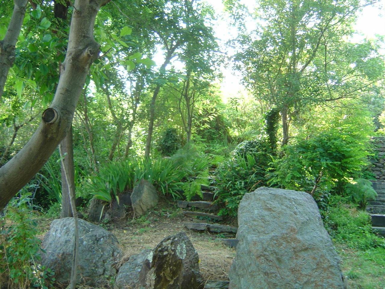 Cortijo Prado Toro