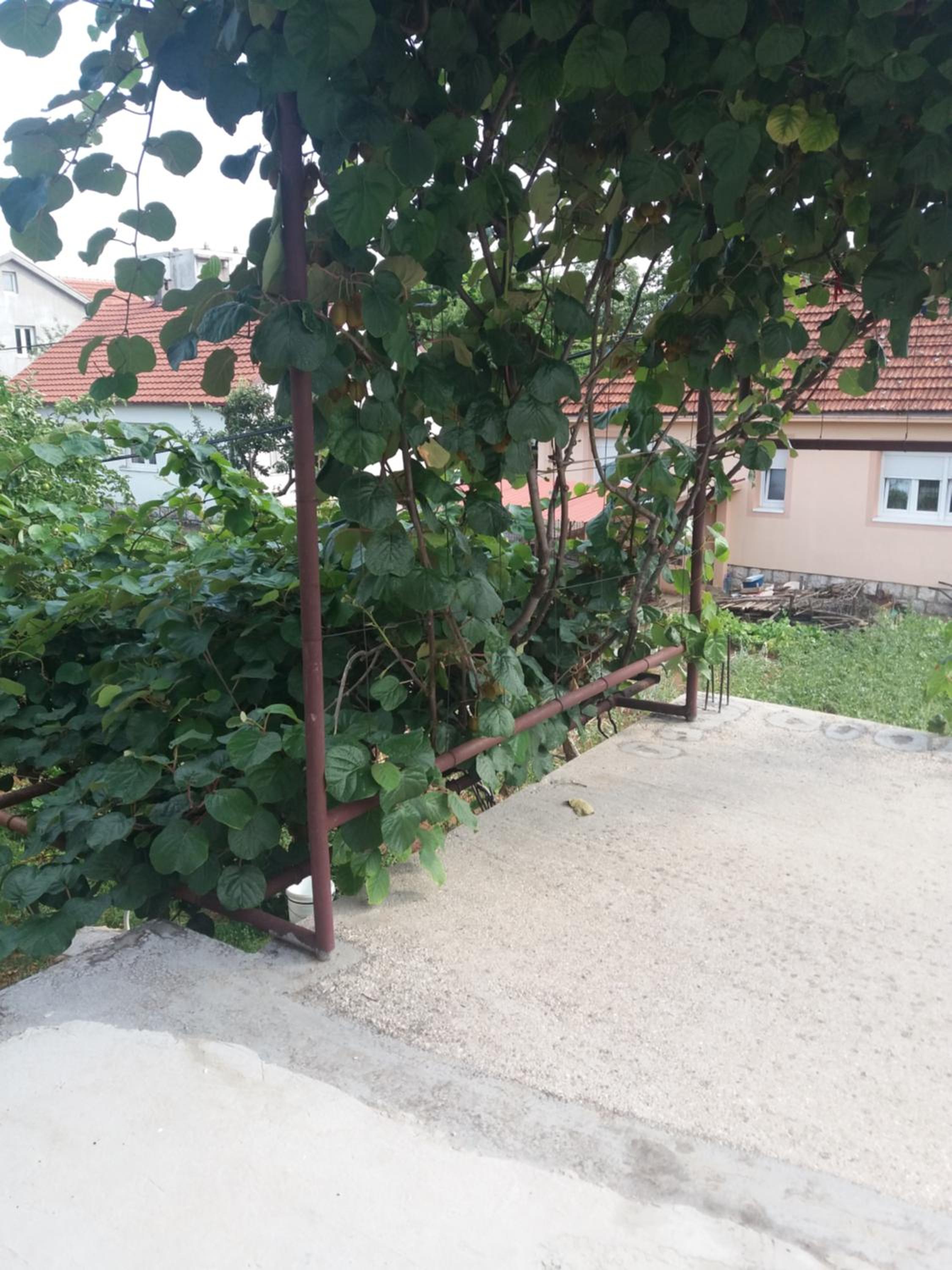 Apartman Mila i Kaja view 2