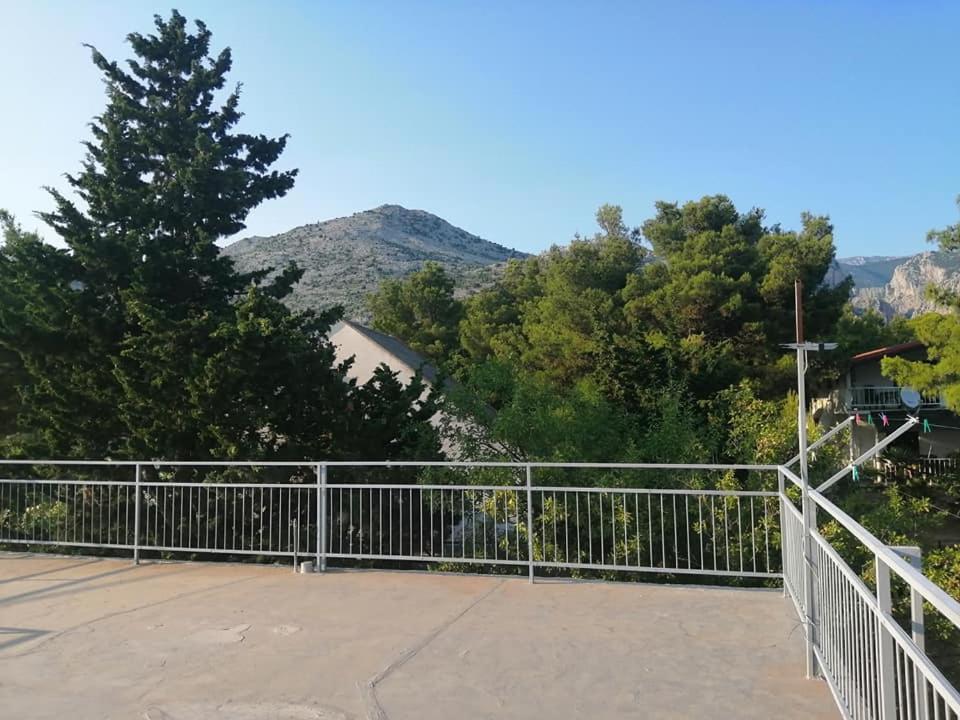 Photo 46
