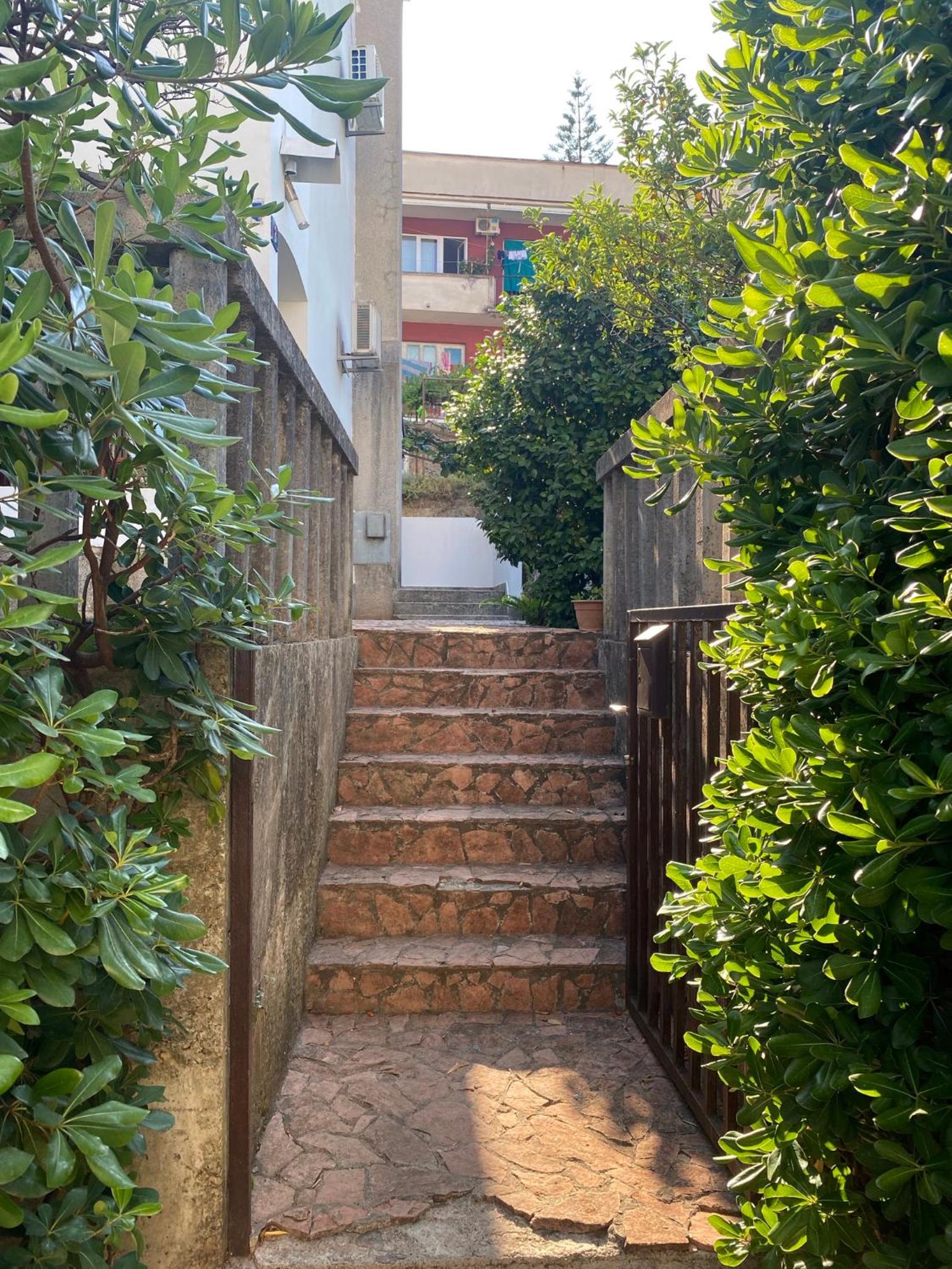 Guest house Kamelija