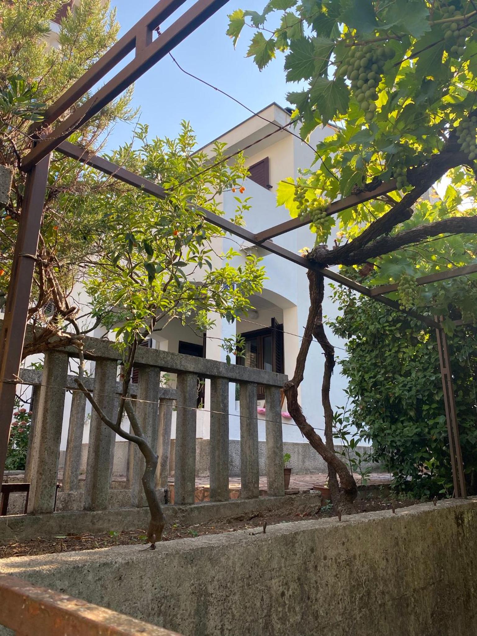 Guest house Kamelija