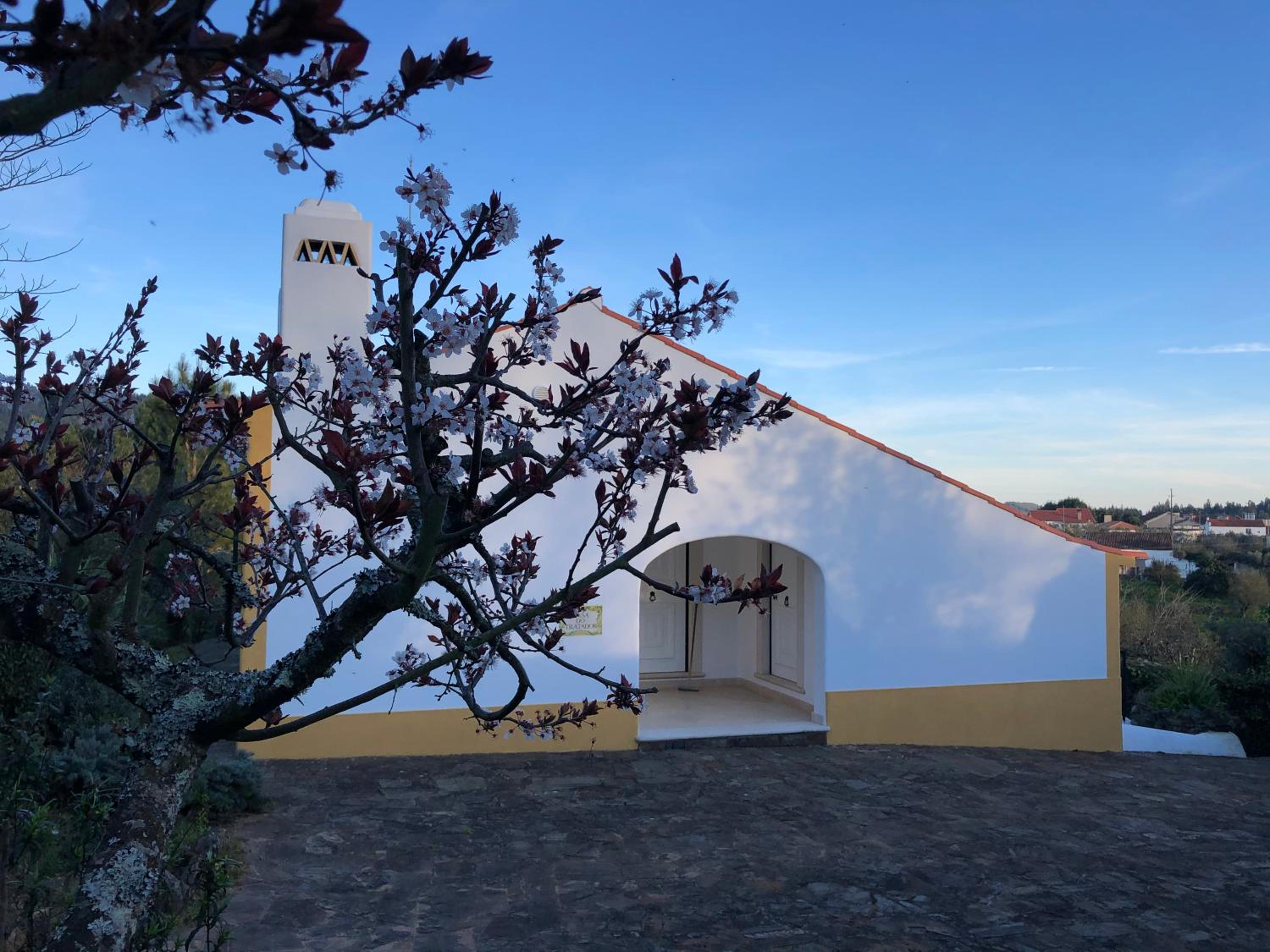 Hotel Quinta dos Girassóis FZ - Image 1