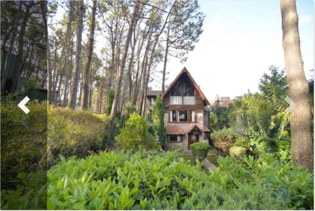 Cabañas del Bosque