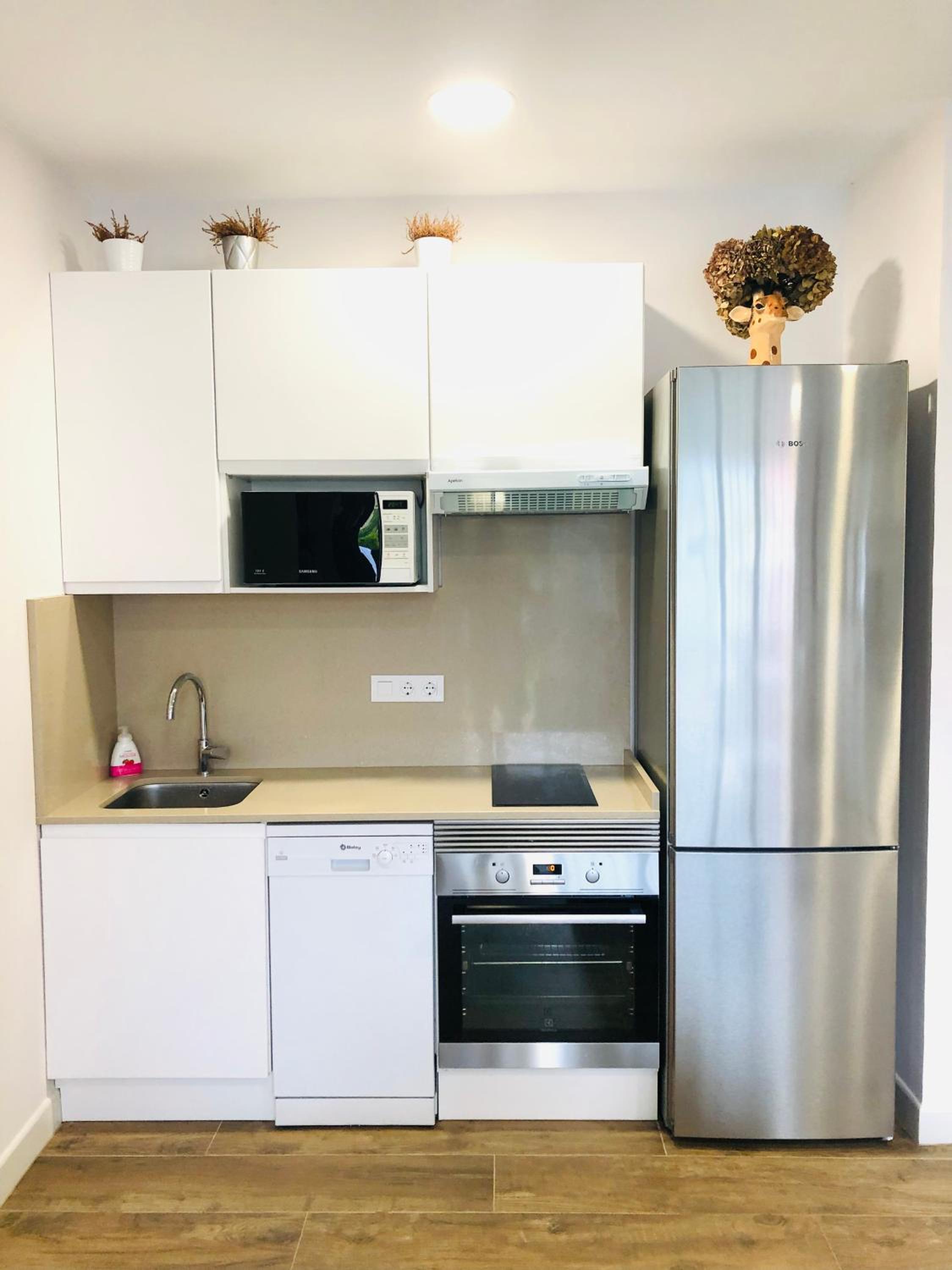 ROSALES Apartamento y jardín
