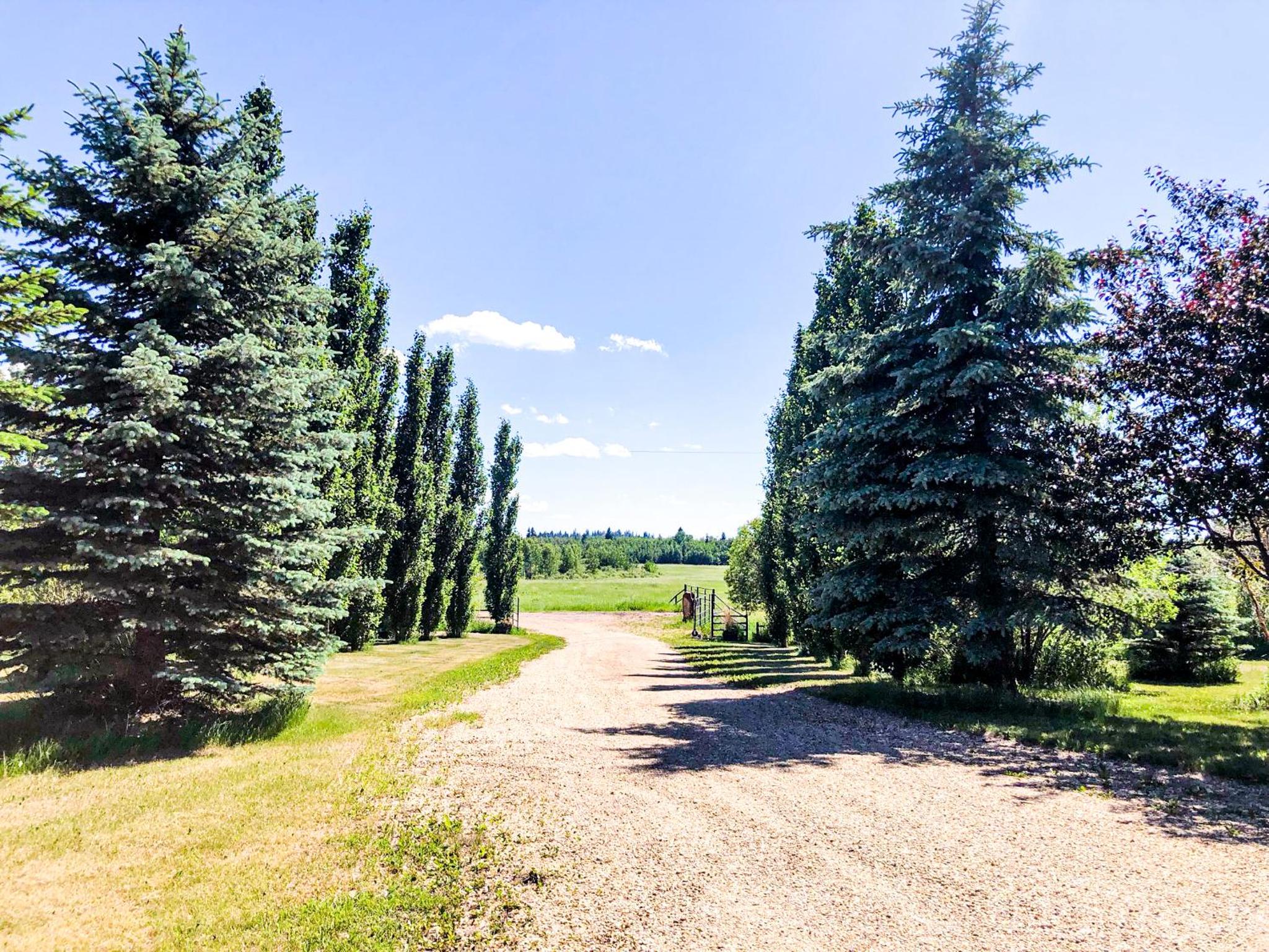 Wolf Creek Bed and Breakfast