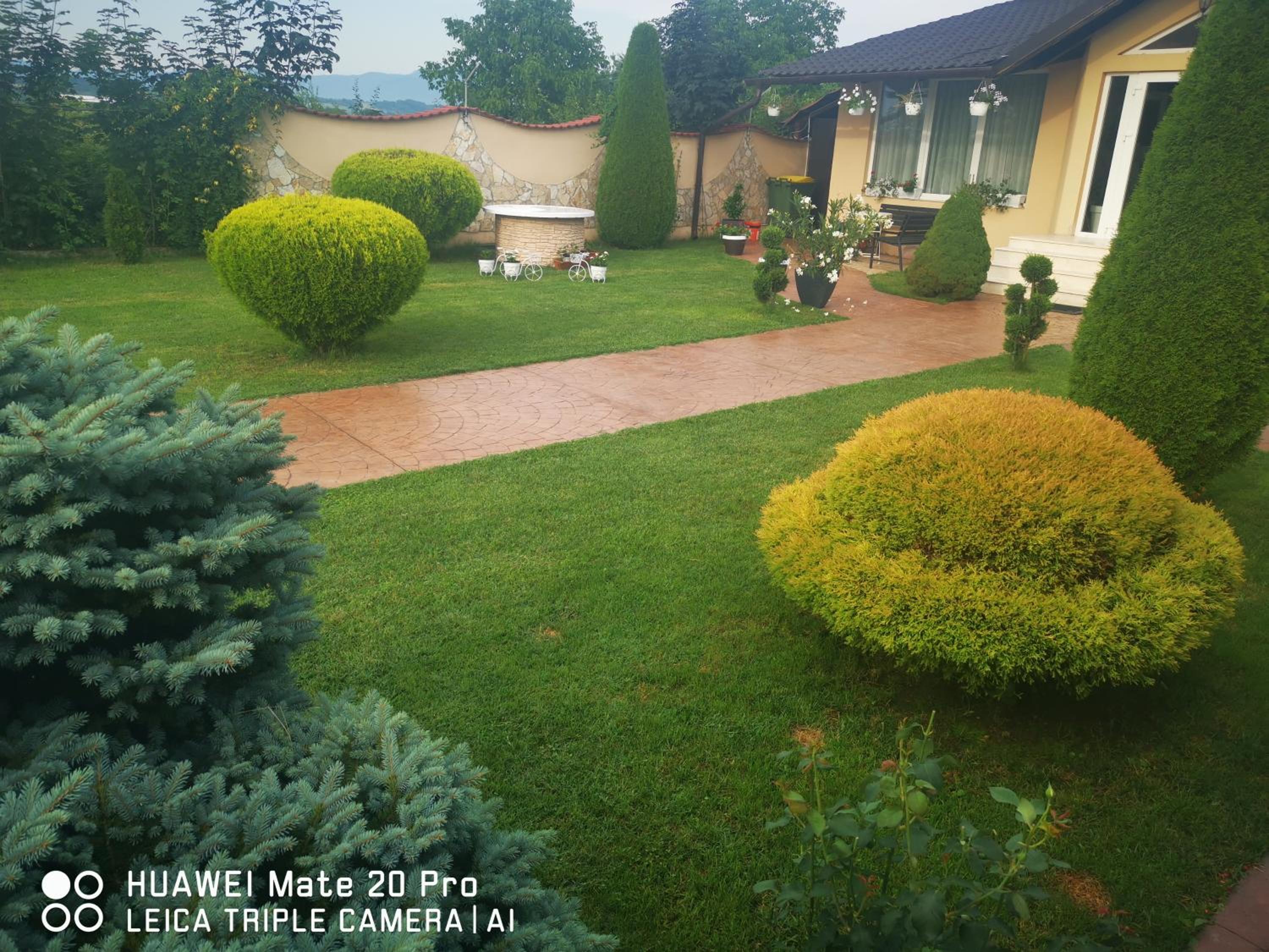 Pensiunea Terra view 3