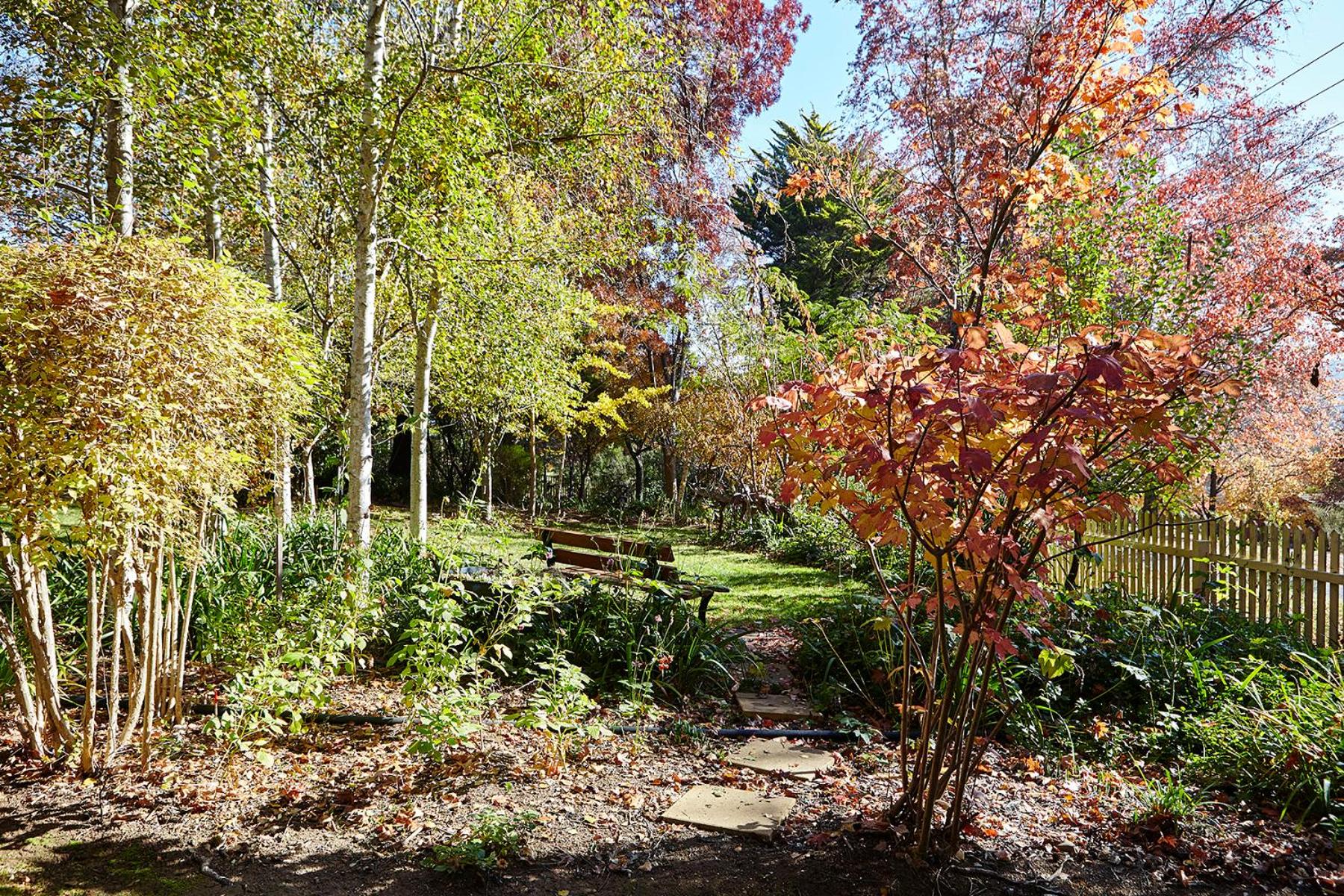 Photo 42