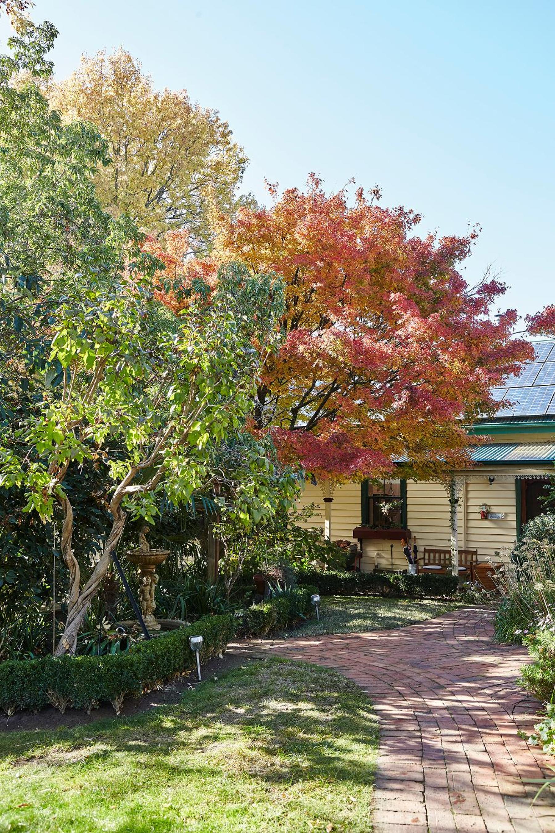 Photo 46