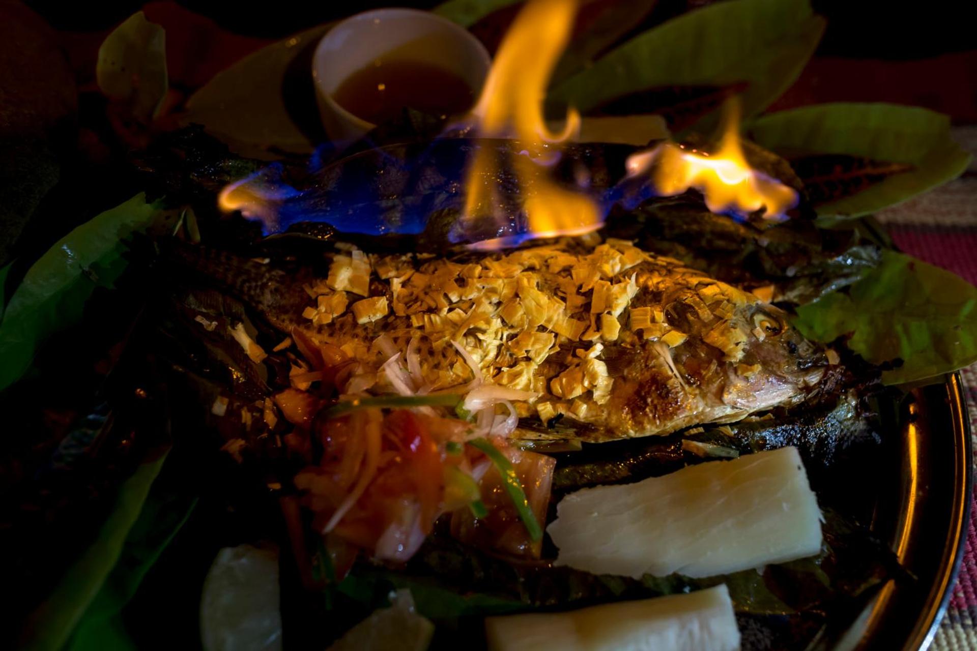 Suchipakari Amazon Eco -Lodge & Jungle Reserve