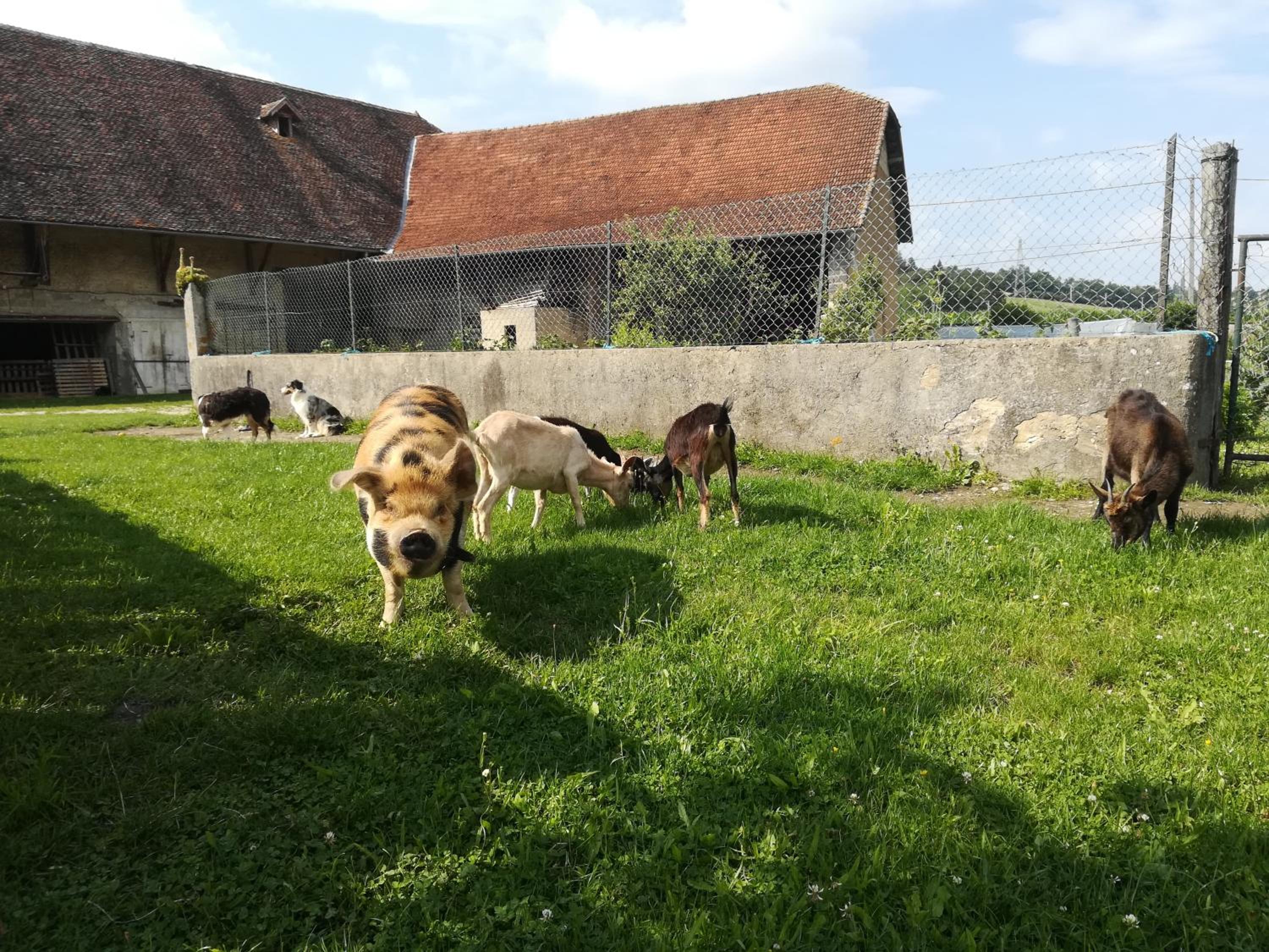 Photo 18
