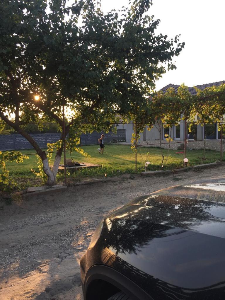 La Olteanu