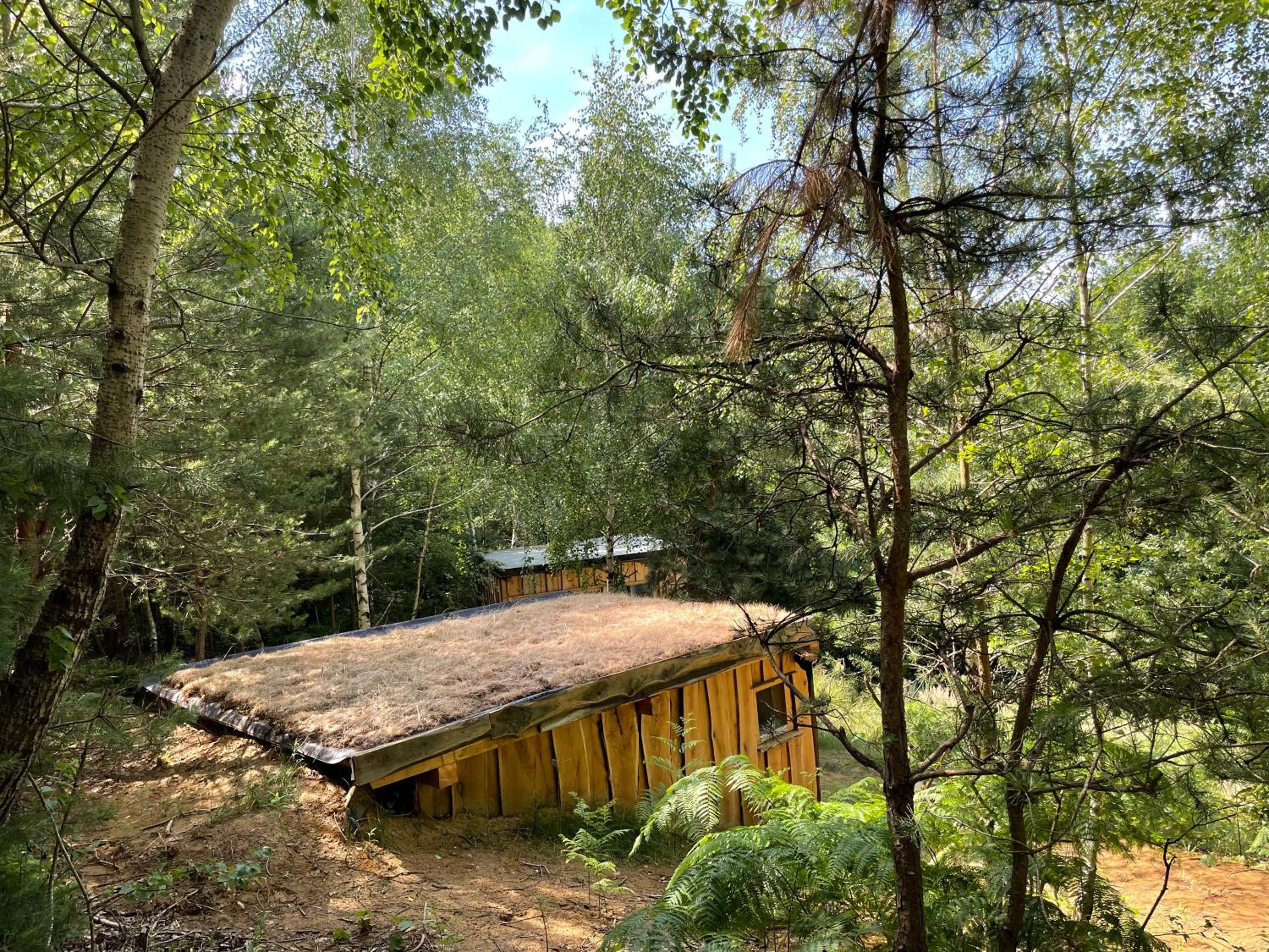 Boutique Glamping Divja DiVine