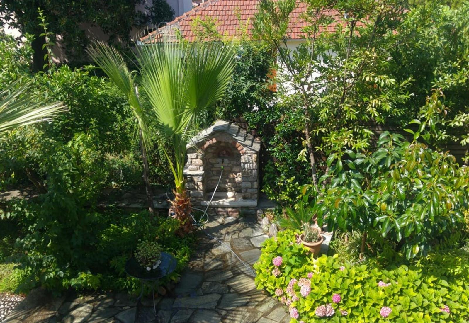 Photo 57