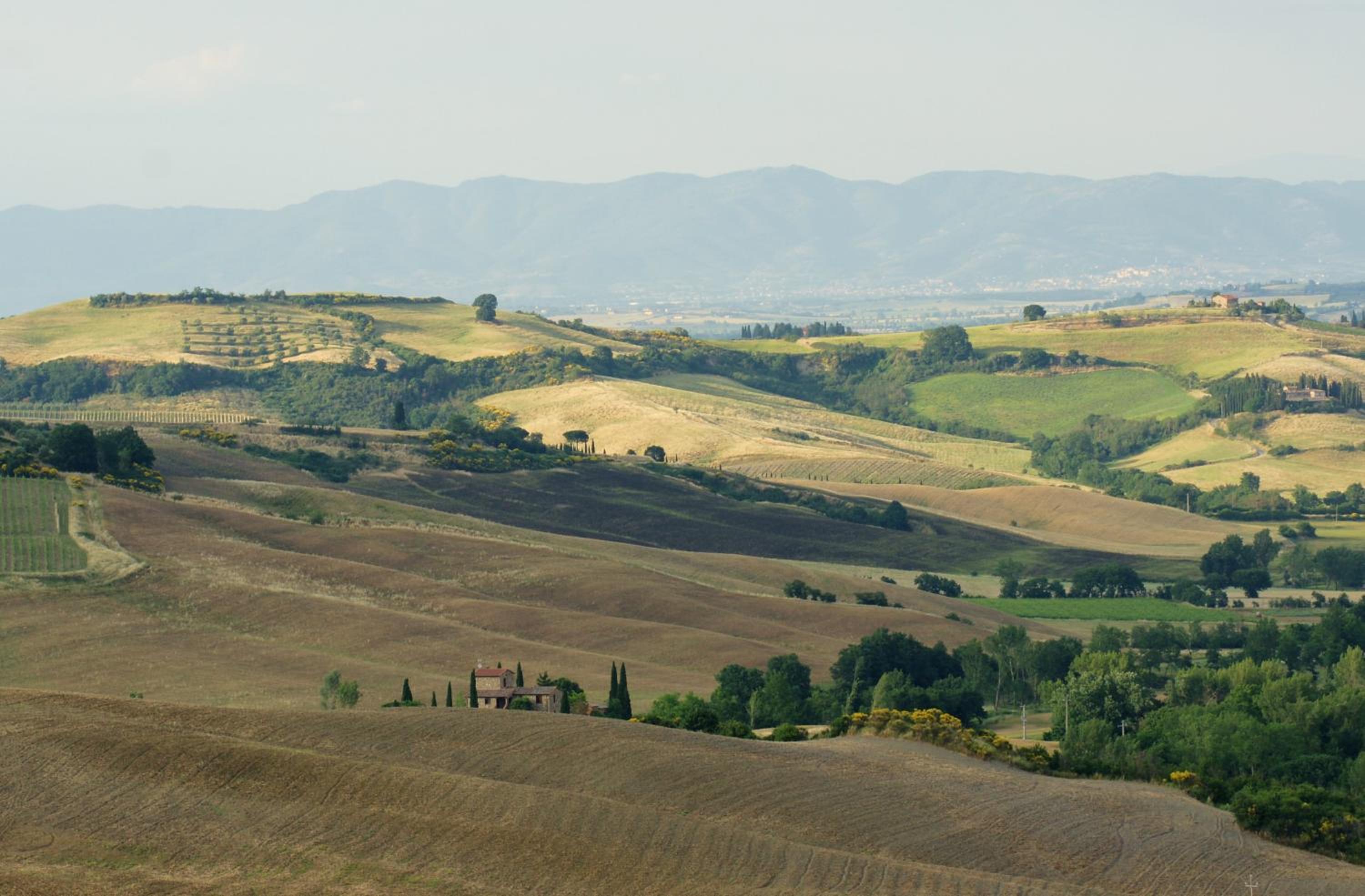 Photo 43