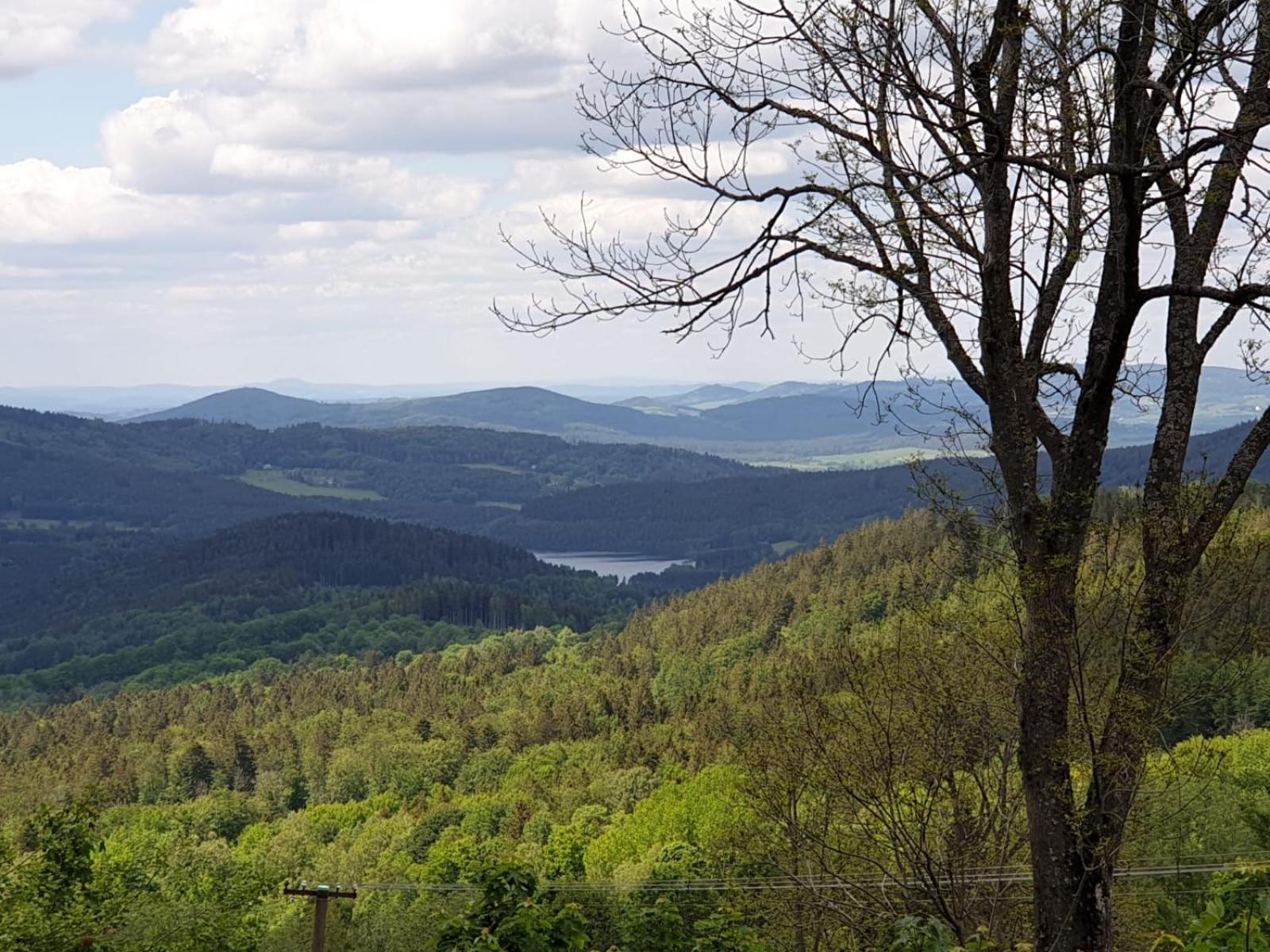König-in