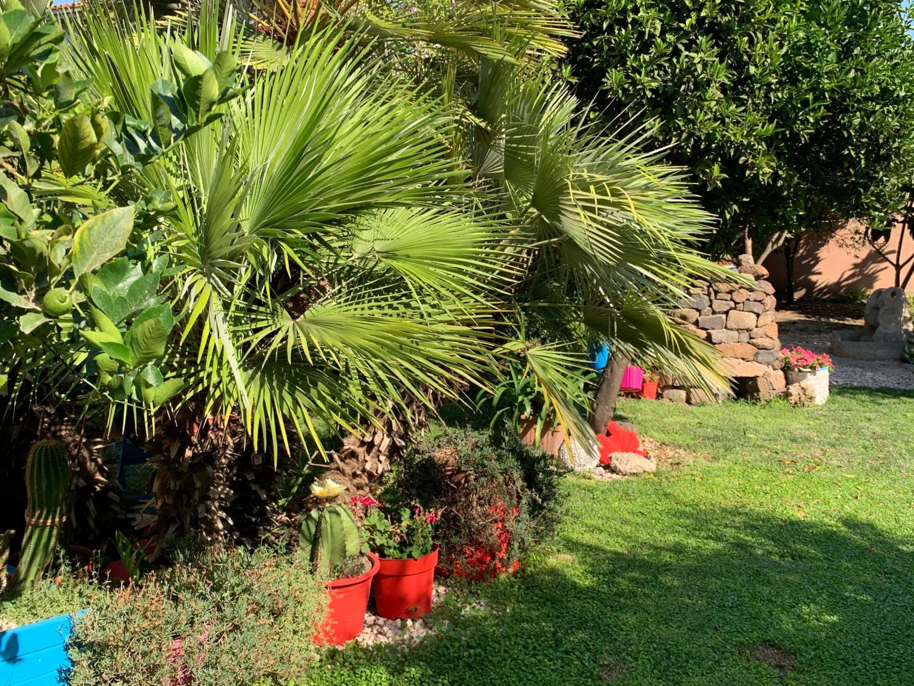 other