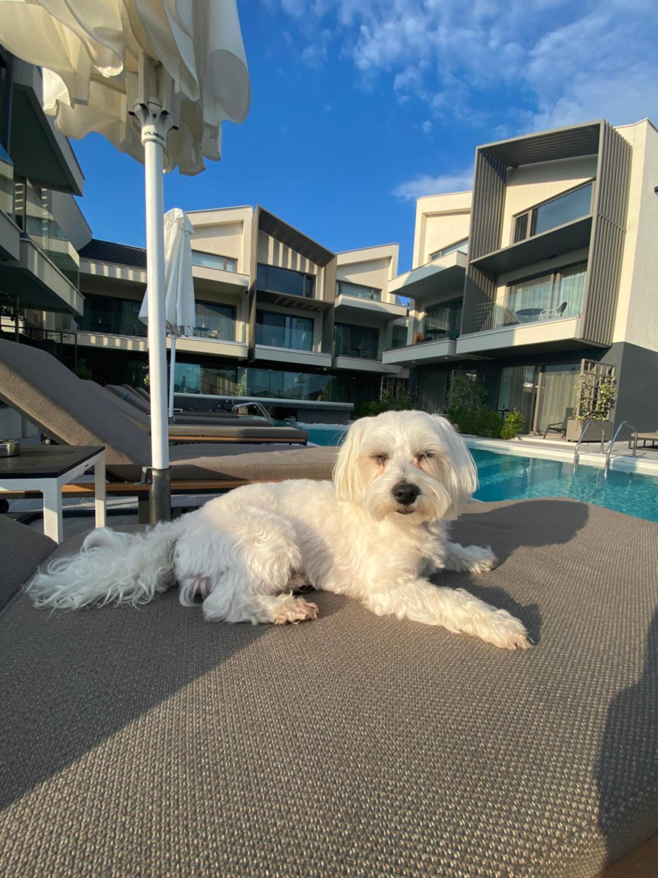 Serenity Suites