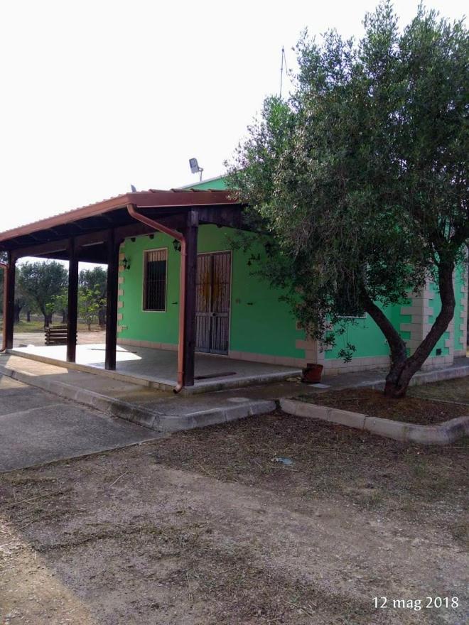Tenuta Marra photo 3
