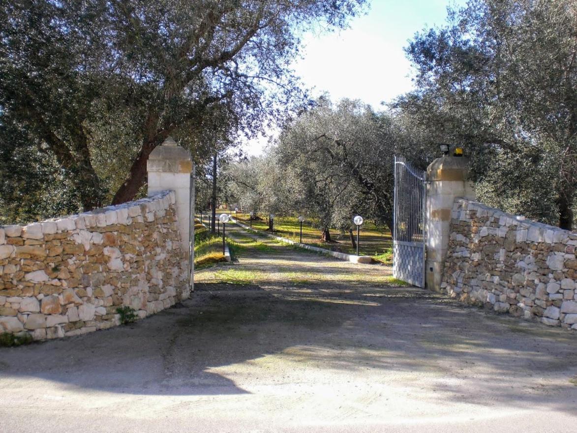 Tenuta Marra photo 2