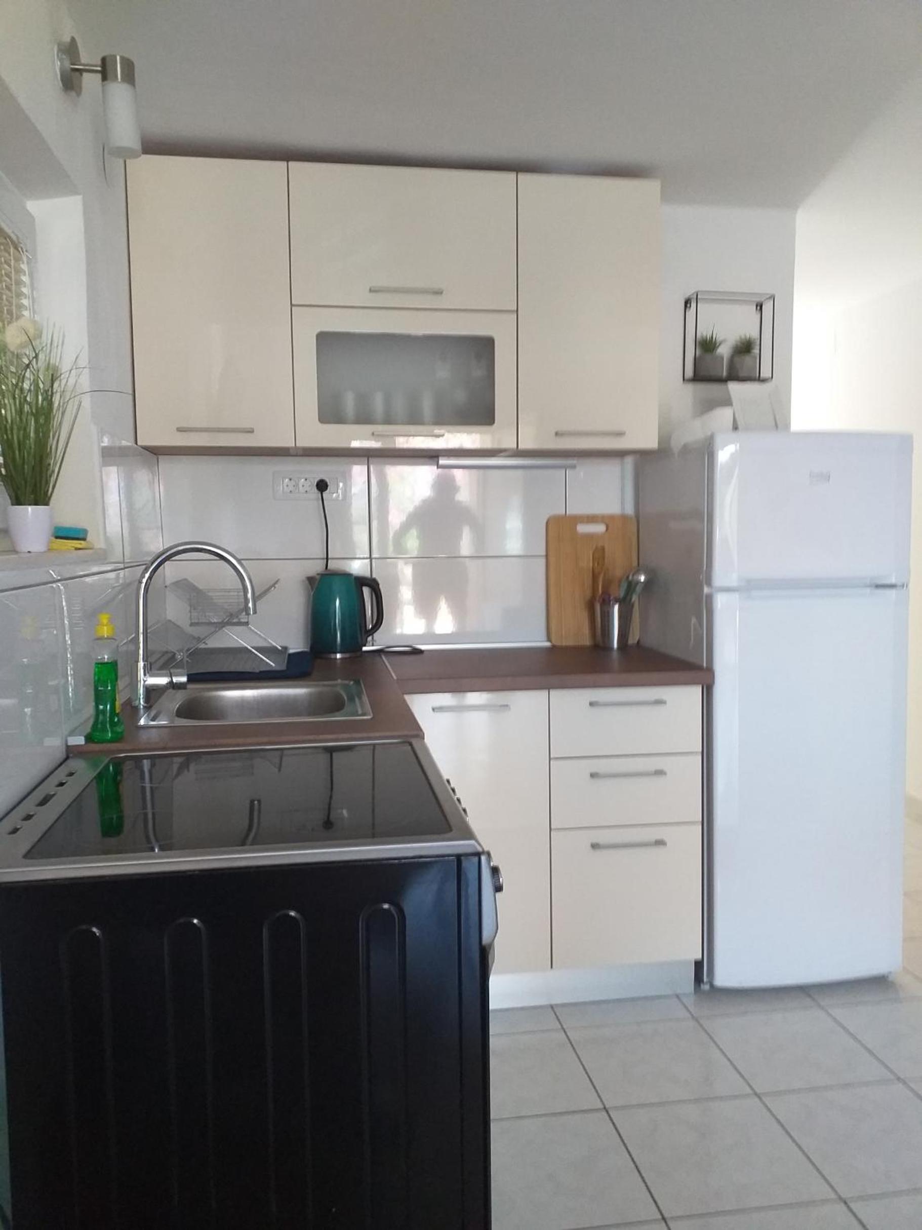 Apartments Golić