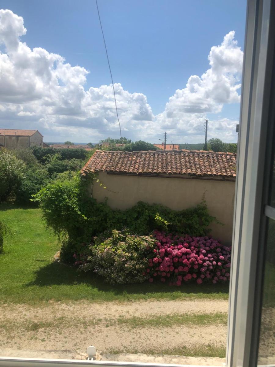 Photo 18