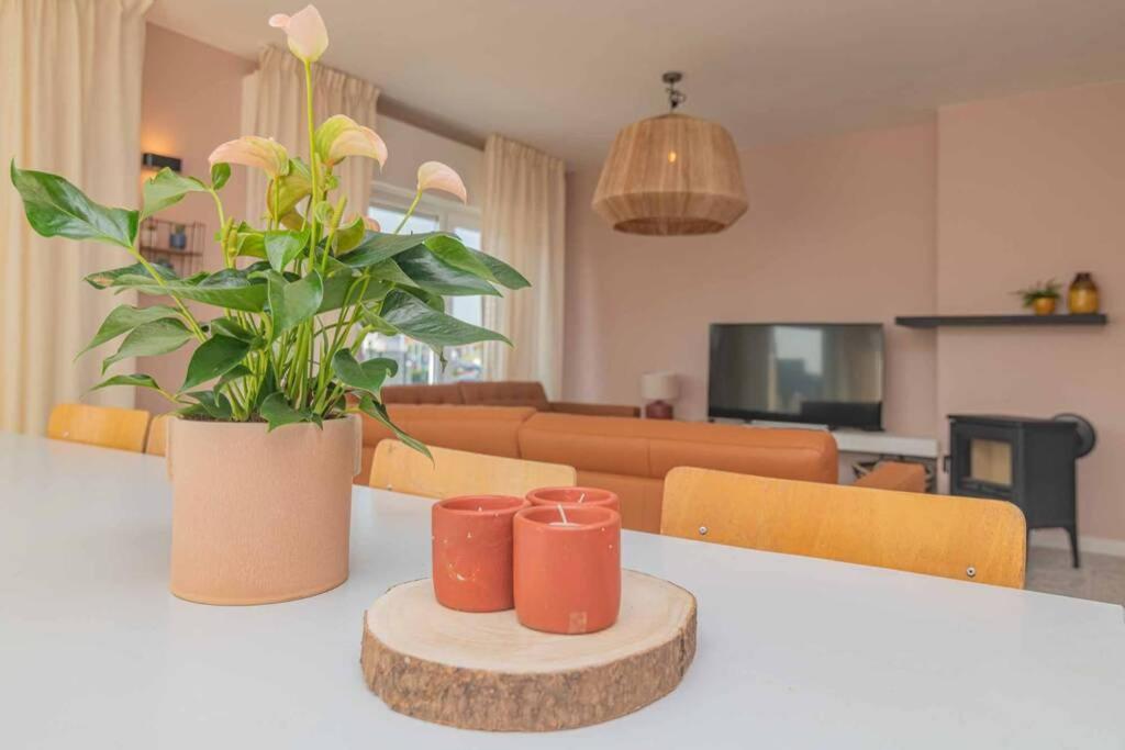 Vakantiewoning voor 12 met garages terras tuin
