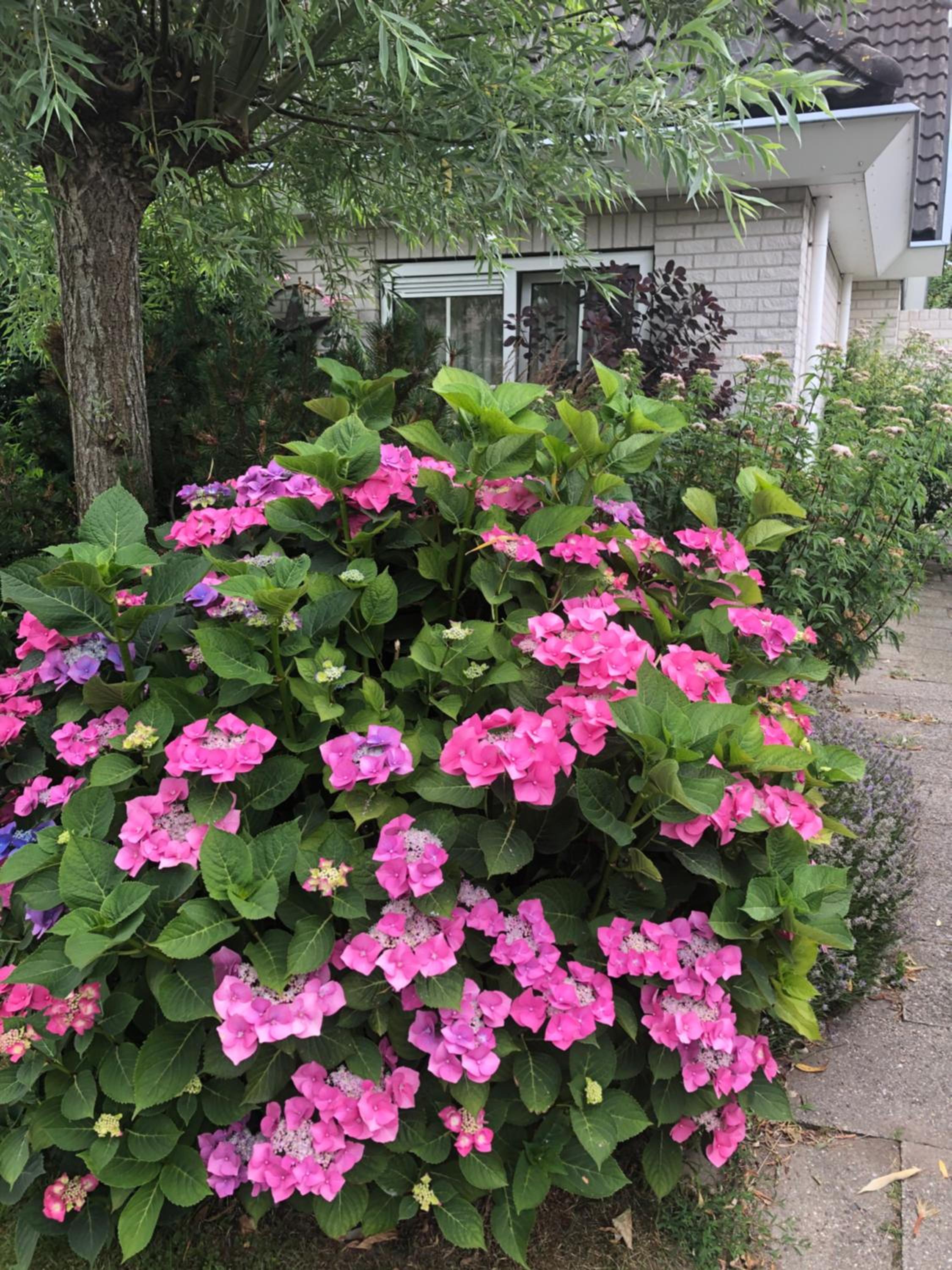 Photo 34
