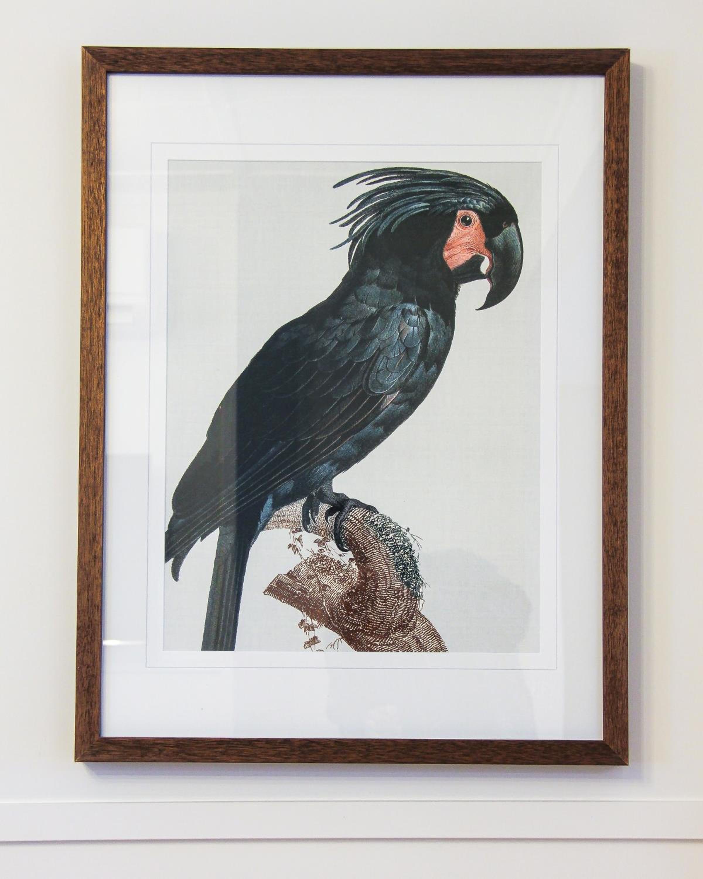 Alexander Cottage Daylesford - Property Image 24