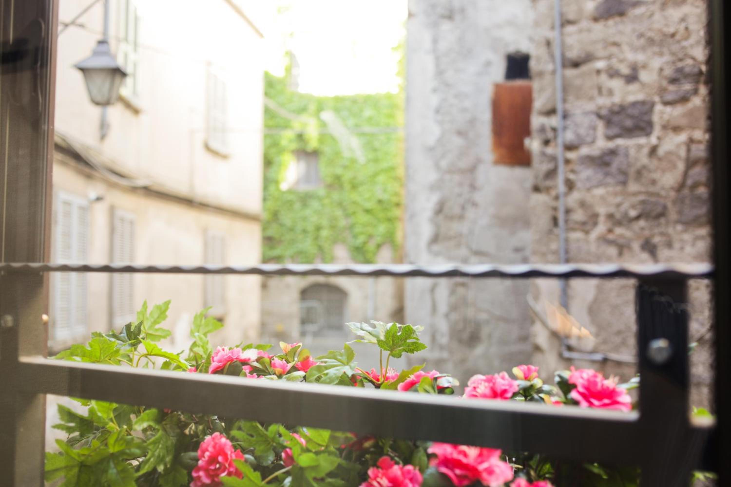 Terme di Rosa casa vacanze