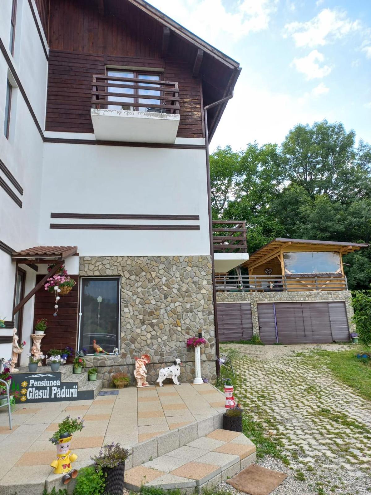 Pensiunea Glasul Pădurii view 5