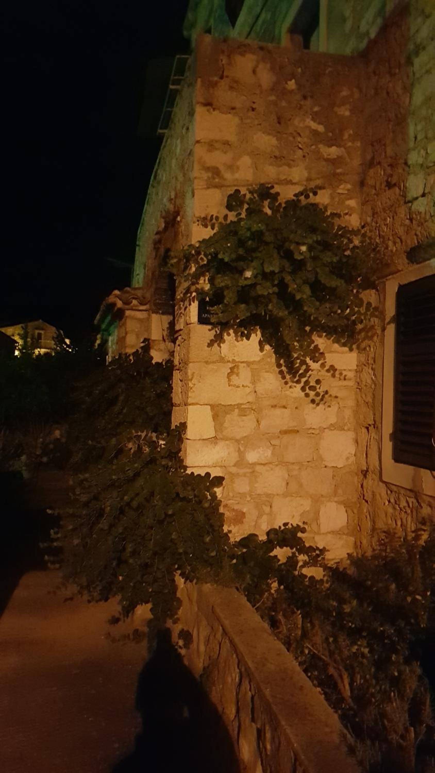 Photo 38