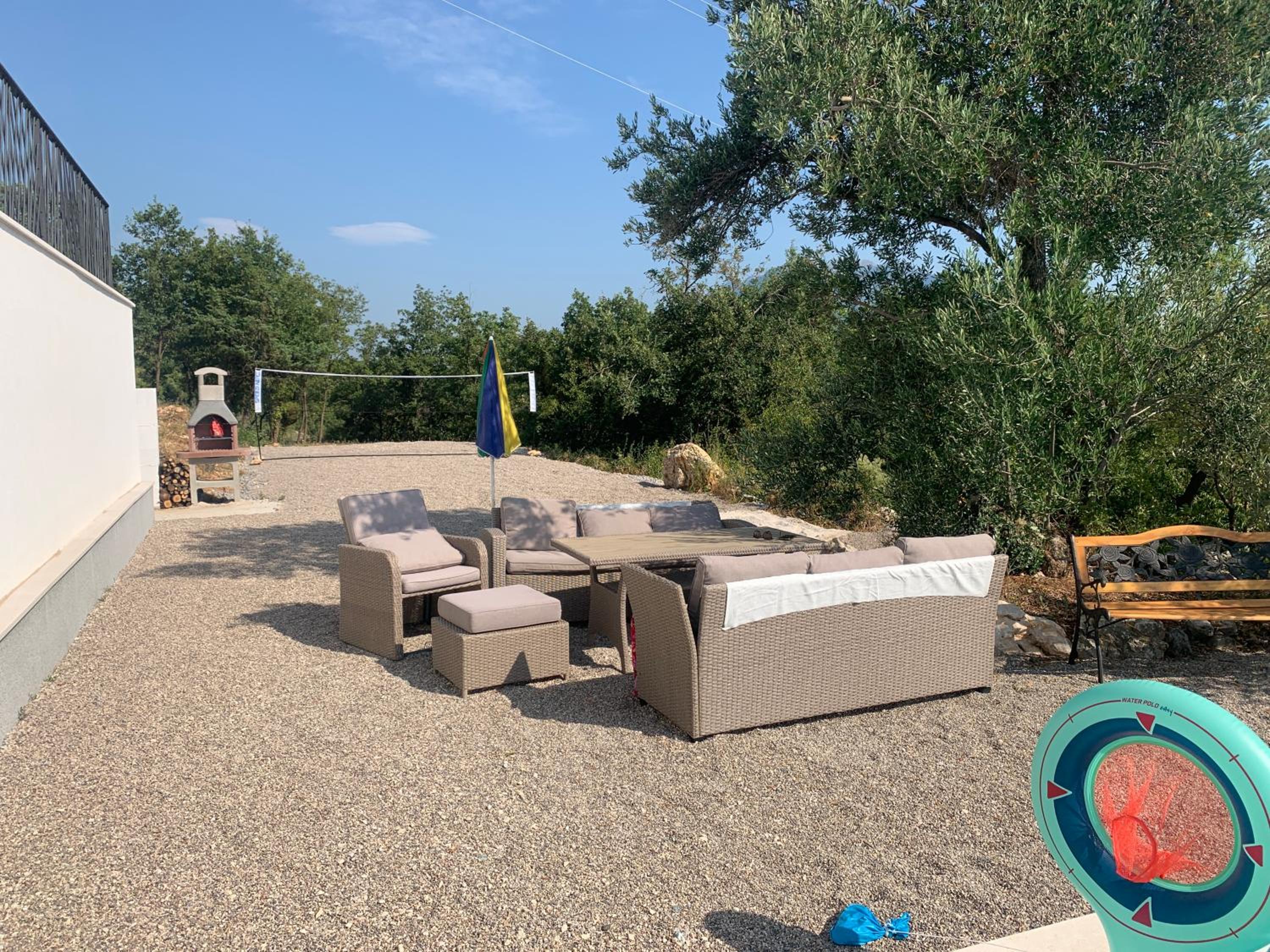La Finca OliveTree view 5