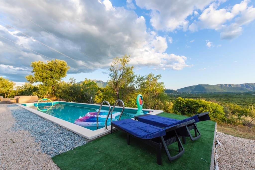 La Finca OliveTree view 3