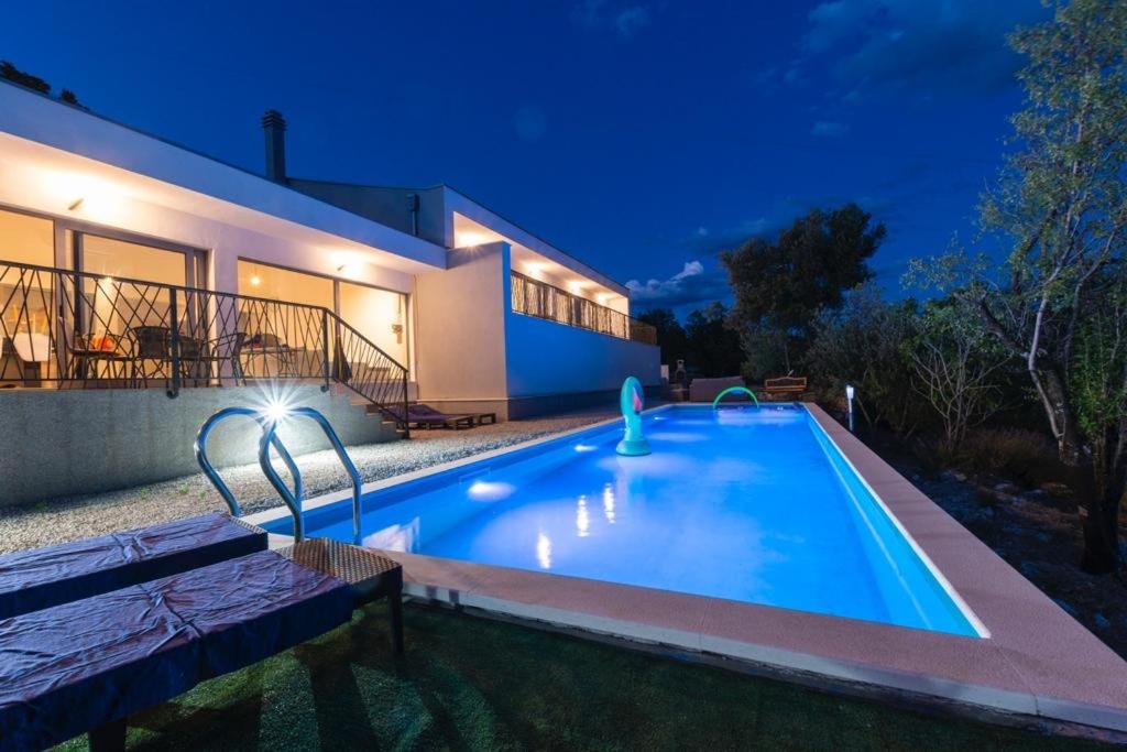 La Finca OliveTree view 2
