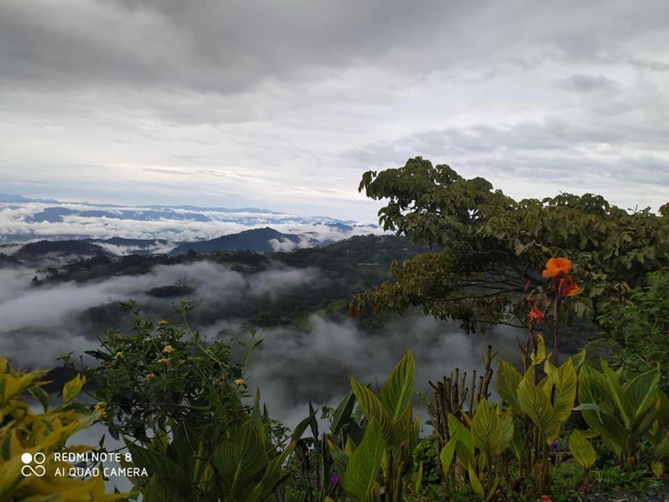 Mirador Finca Morrogacho