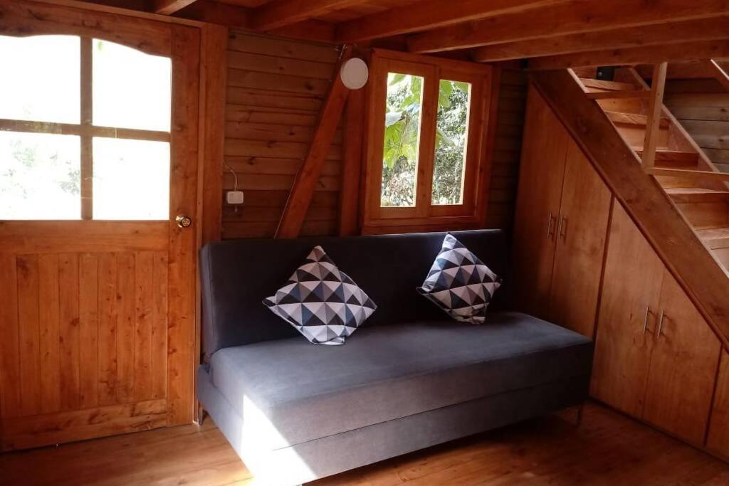 La Casa En El Bosque view 5