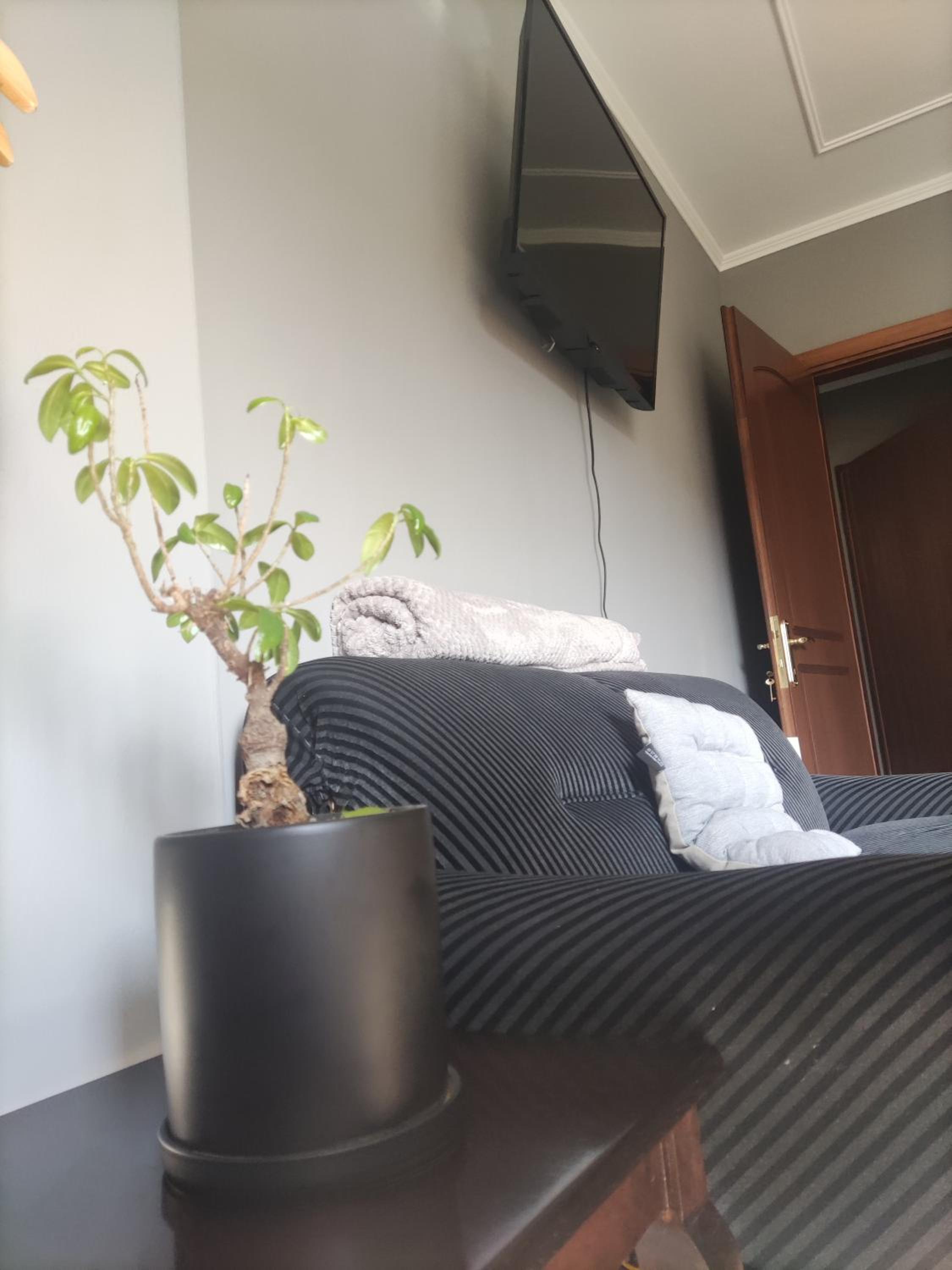 Koa Studio 1