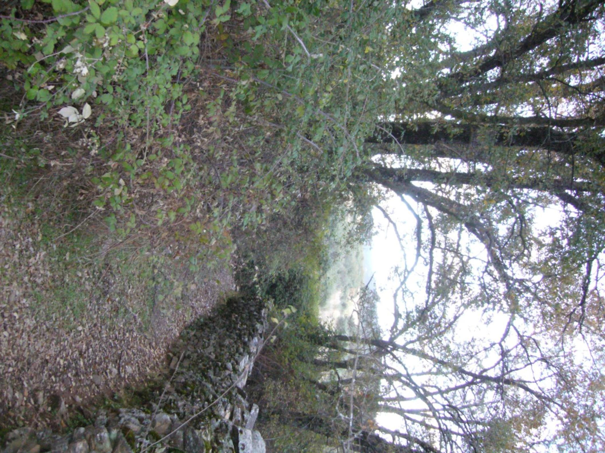 Photo 39