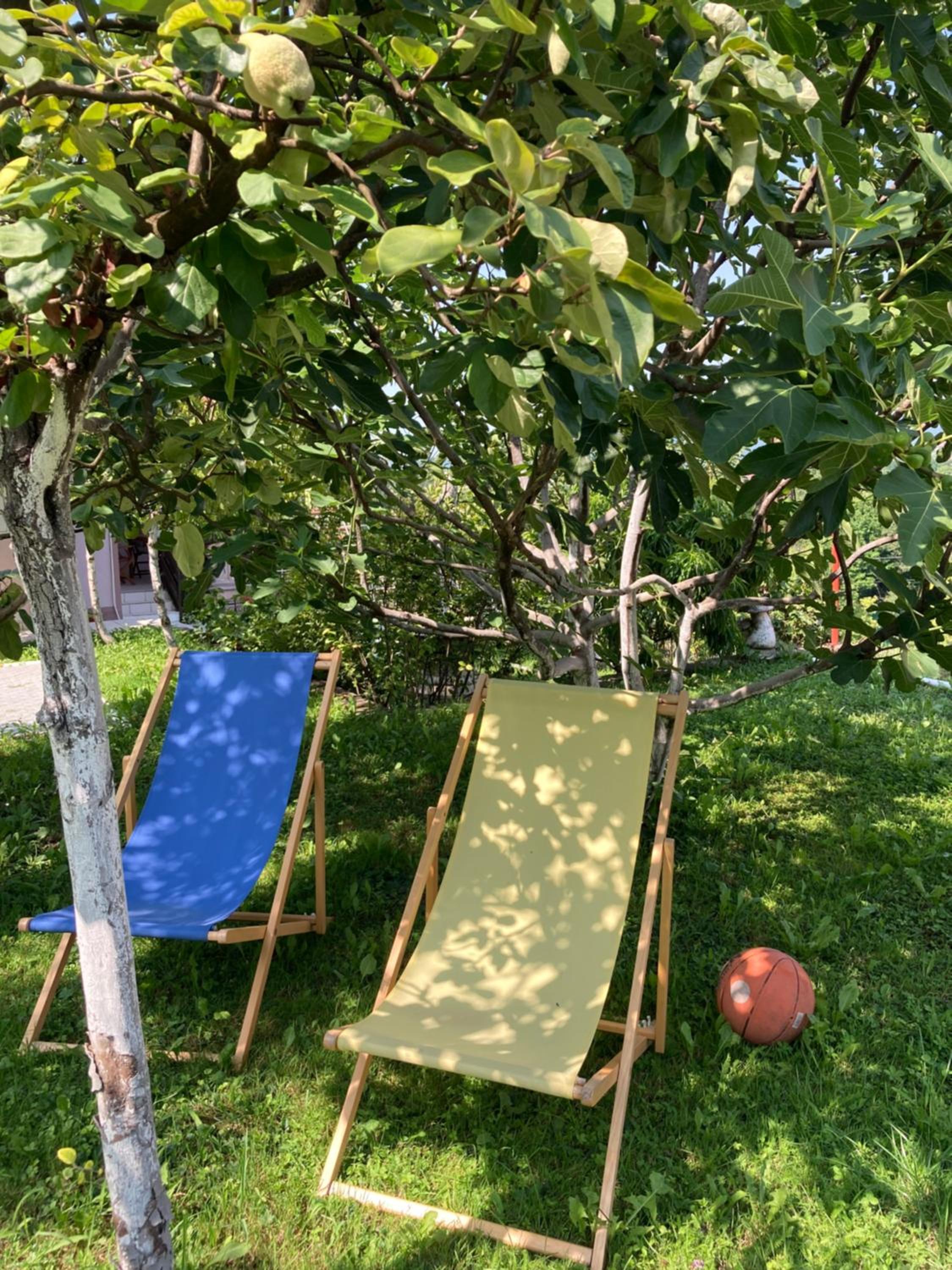 Resting House Oaza