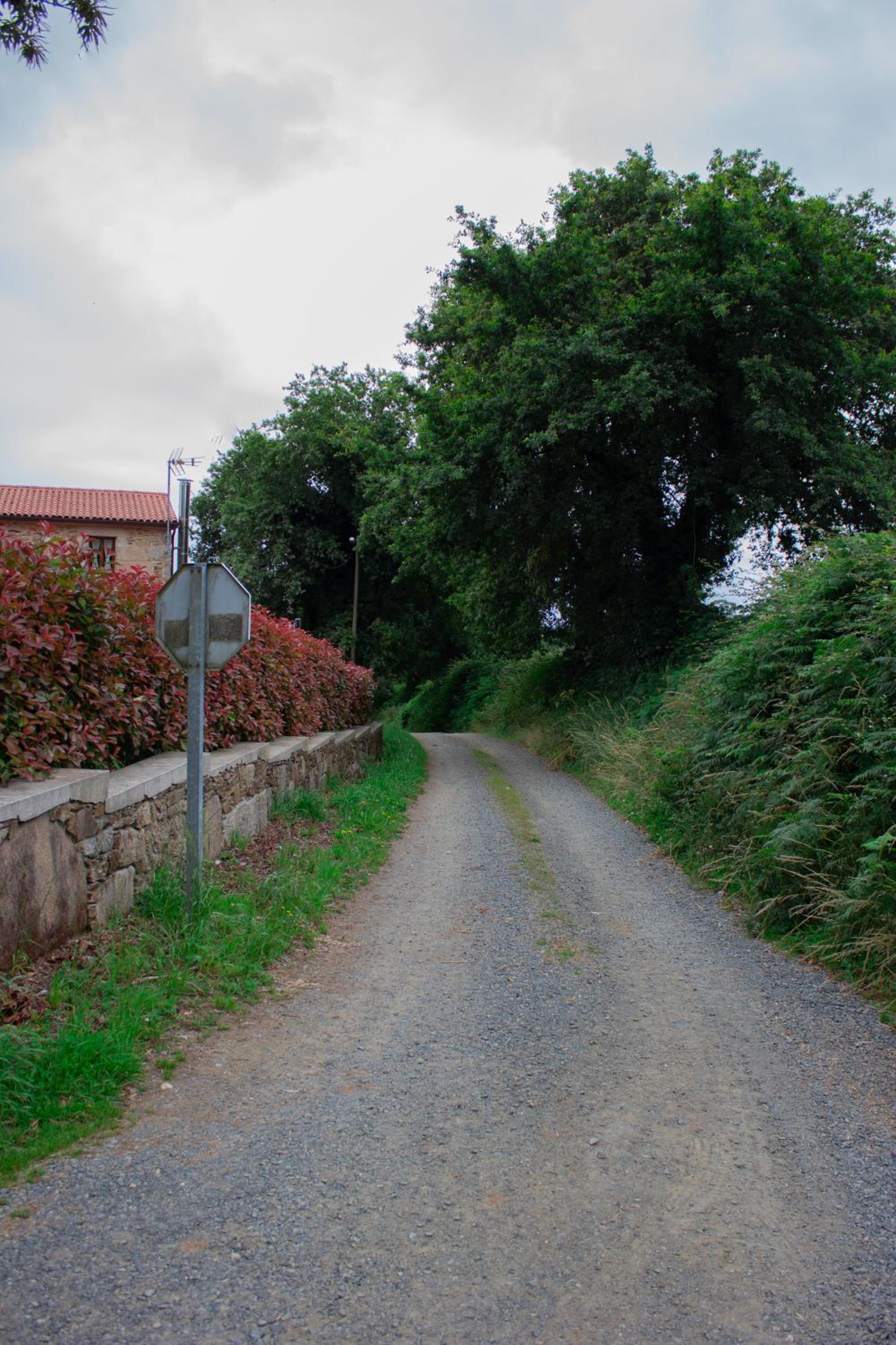 Photo 39